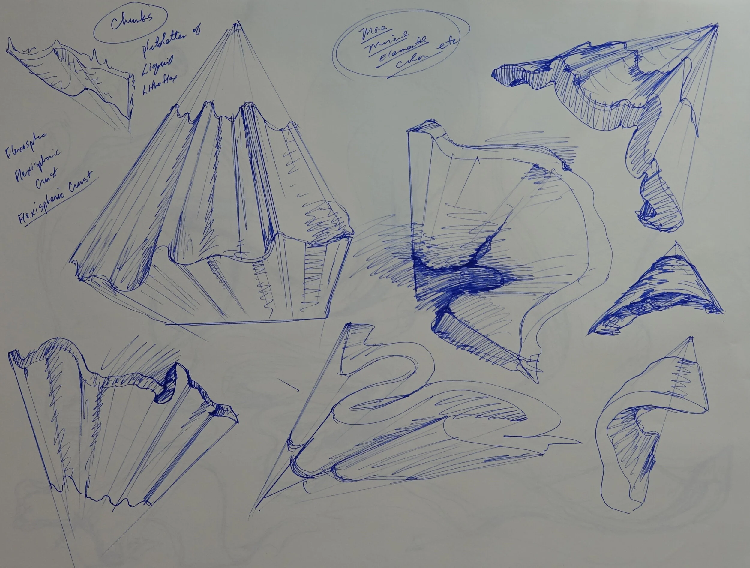 Catalogue #CCcsk 0193