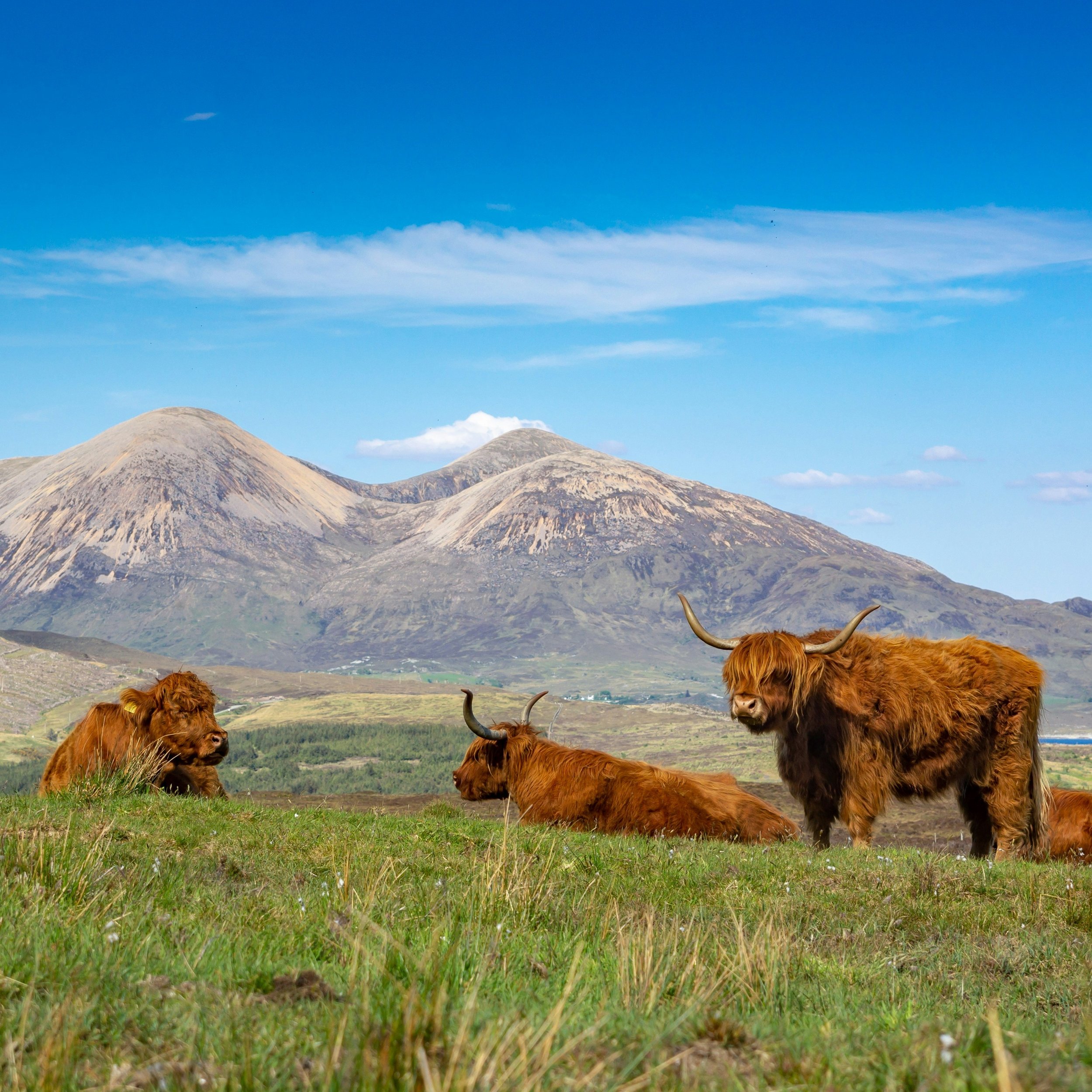 SCOTLAND IS CALLING! And we're celebrating our launch with $500 OFF! ✨

Castles, rolling green hills, breathtaking lochs, charming villages, and a little whisky along the way. Add daily yoga, beautiful accommodations, wonderful company, and just the 