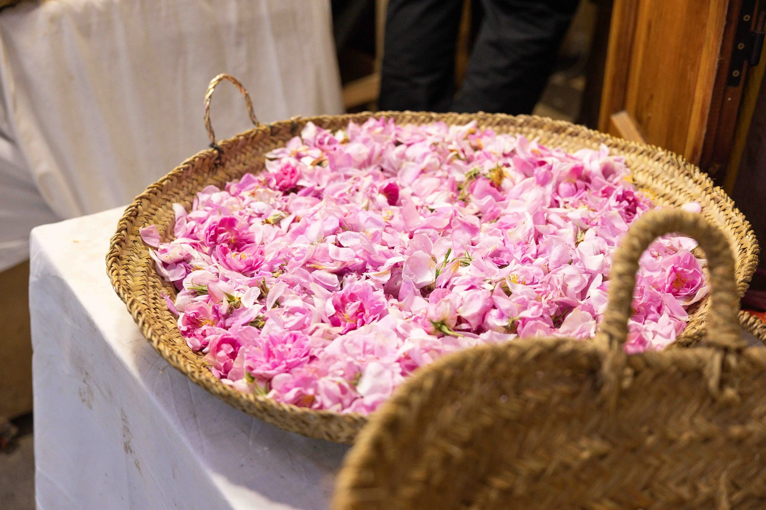 5K8A9781.jpg