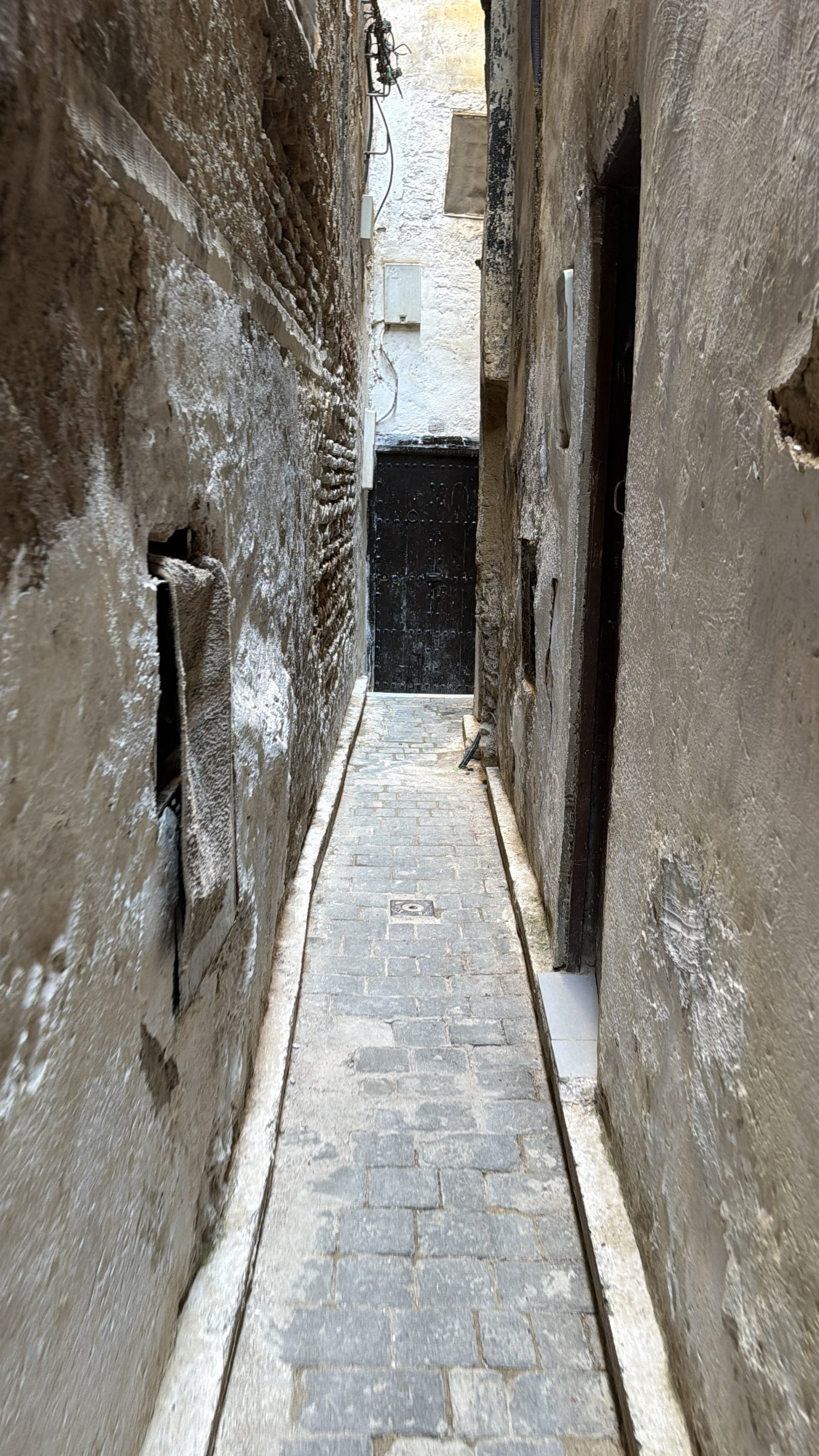 IMG_8441.jpeg
