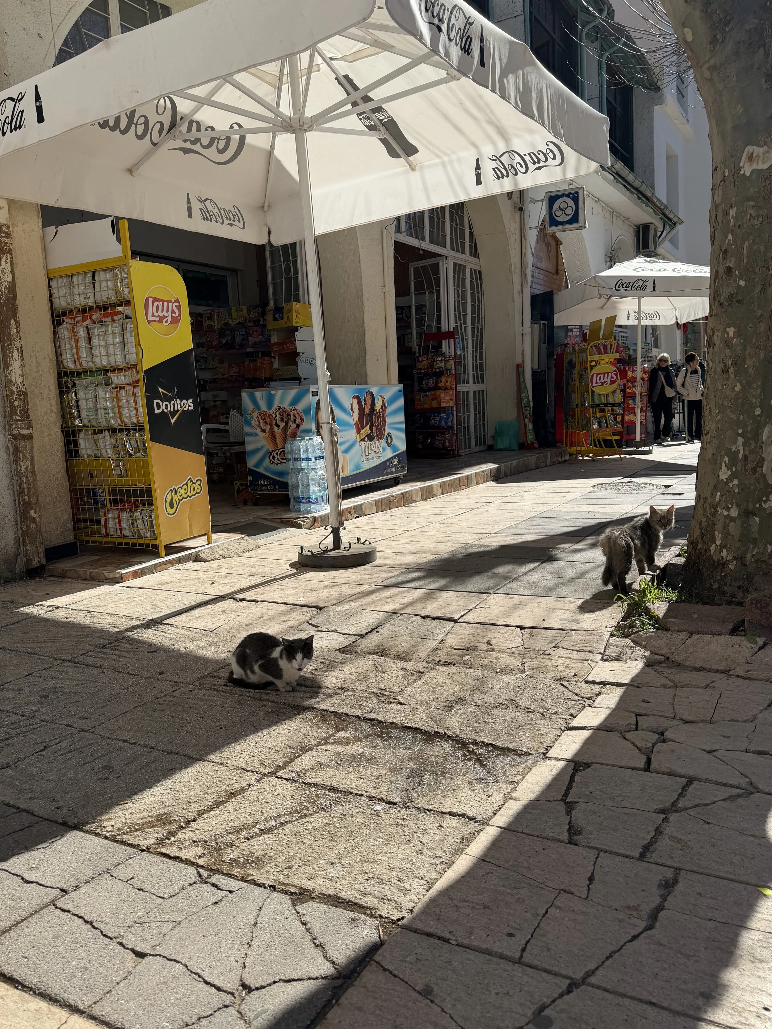IMG_8701.jpeg