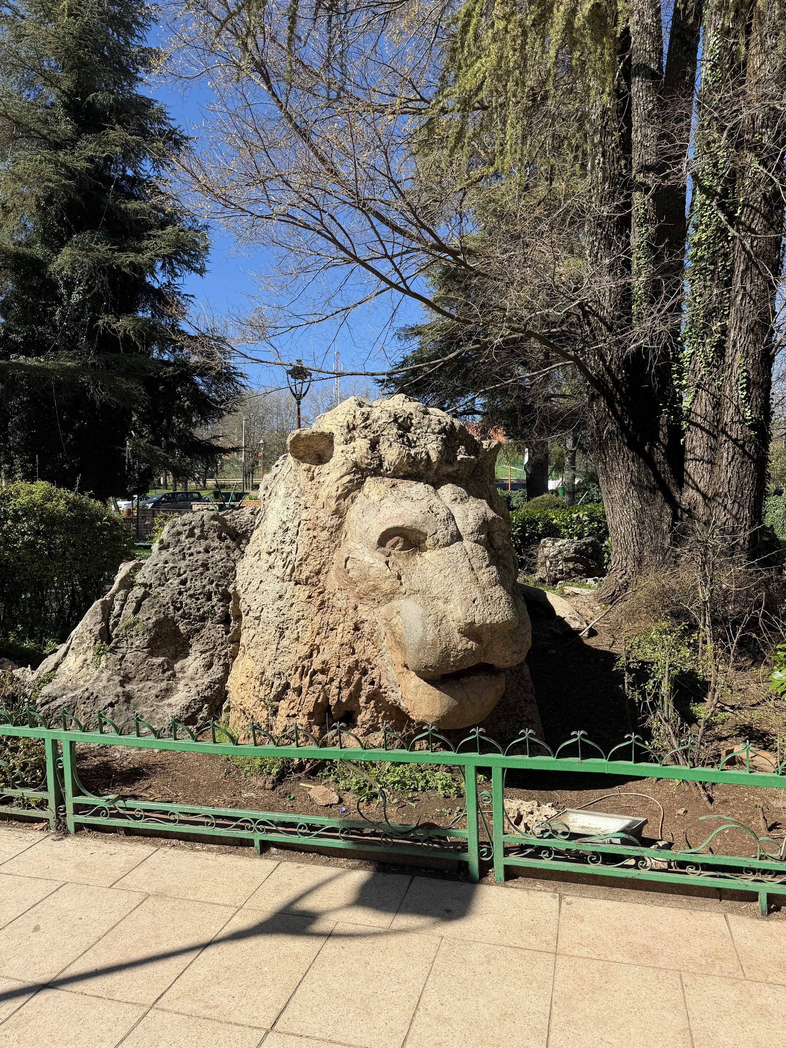 IMG_8704.jpeg