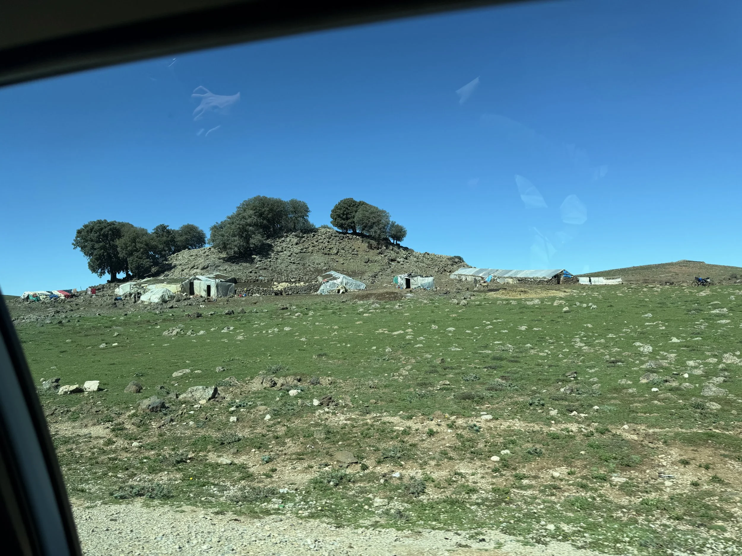 IMG_8769.jpeg