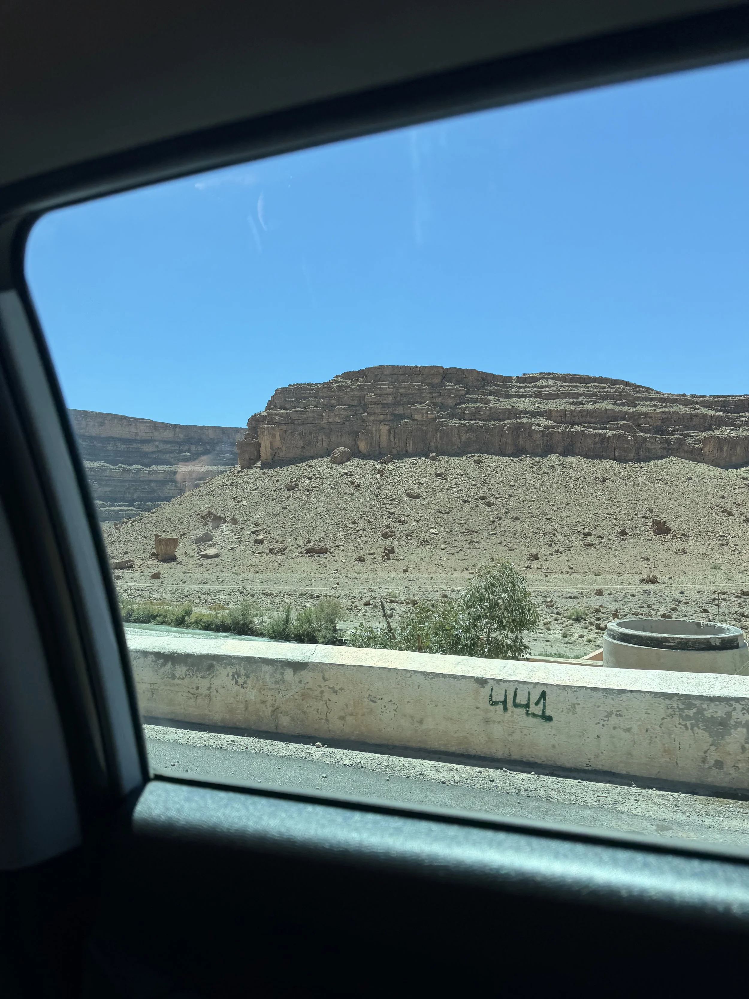 IMG_8806.jpeg