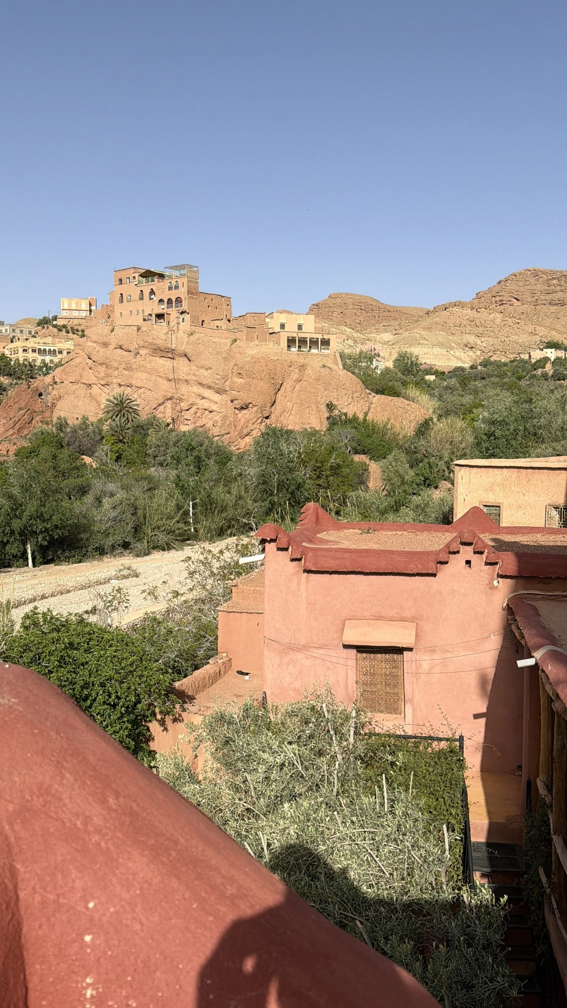 IMG_9485.jpeg