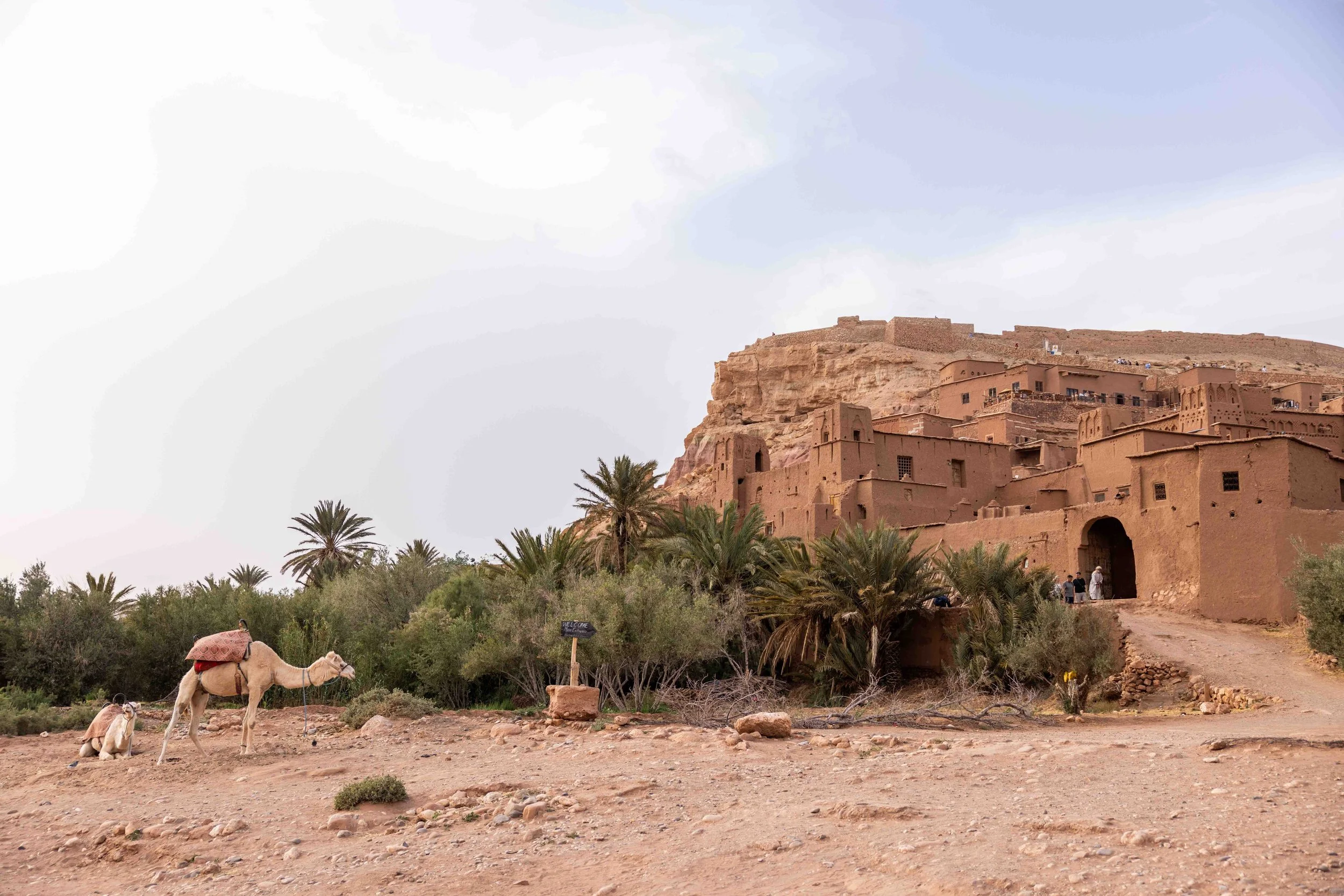 Morocco, Day 5 - Kasbahs, Roses, Movie Sets and Aït Benhaddou