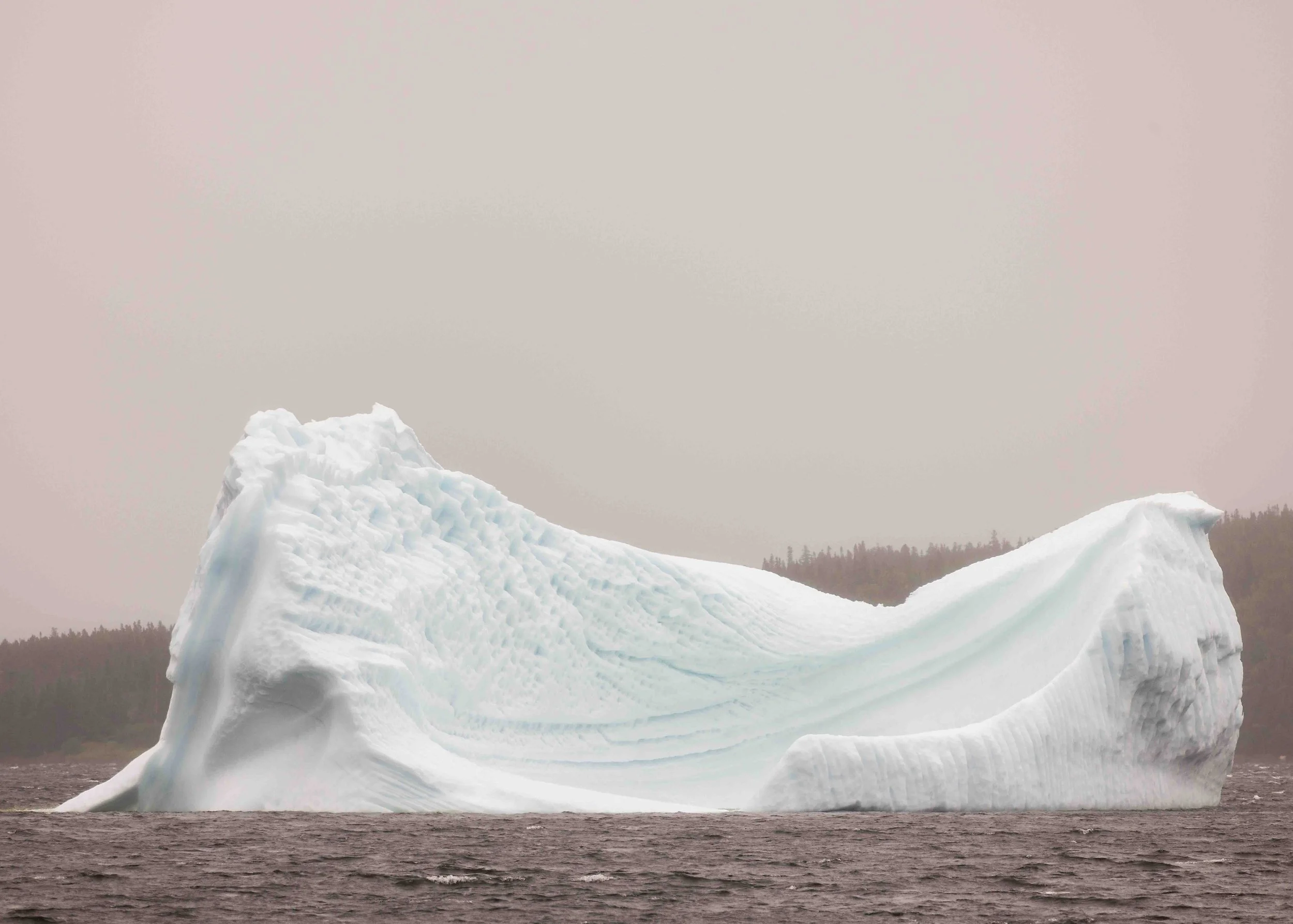 5K8A3664-Edit.jpg