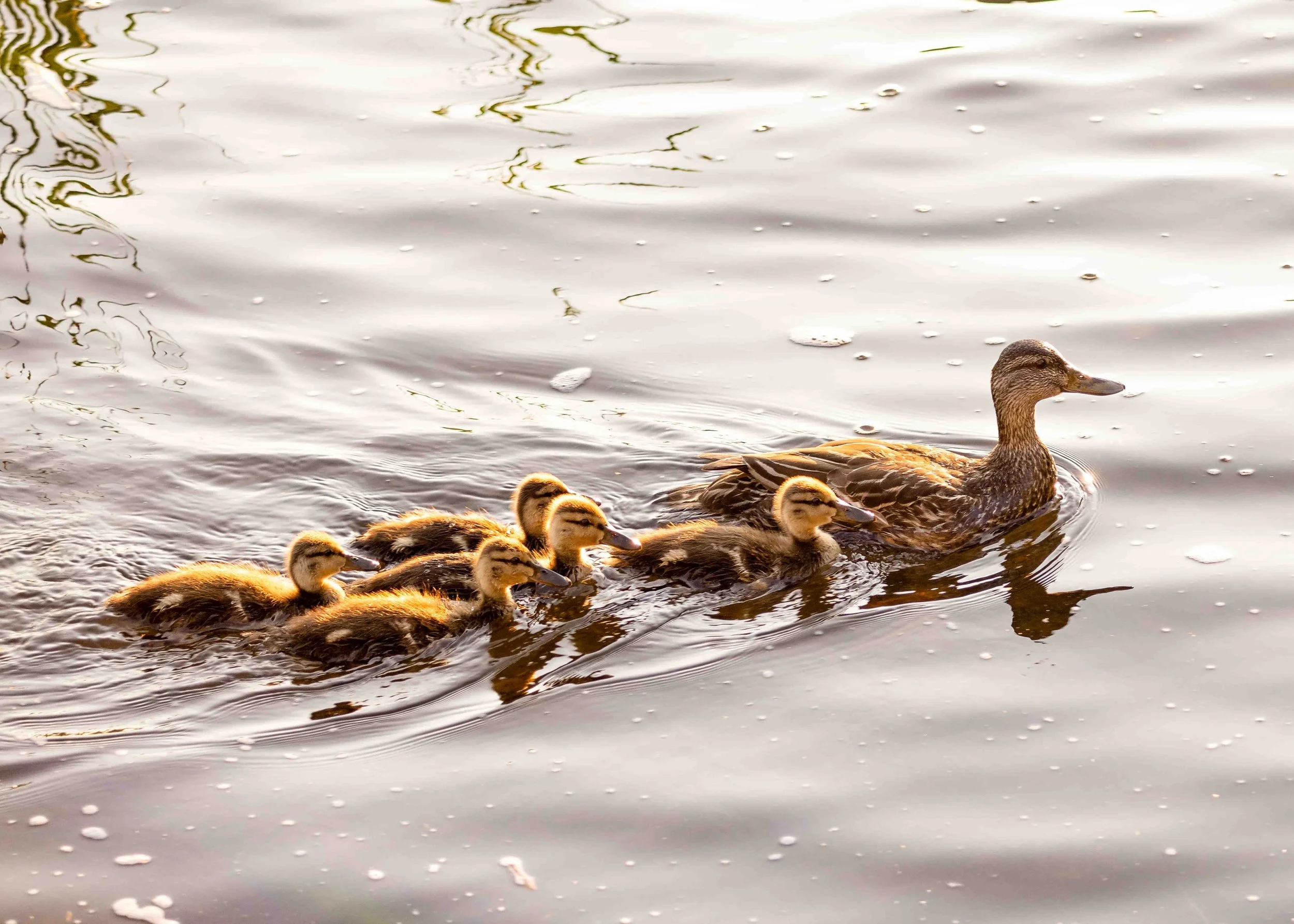 5K8A7938-Edit.jpg