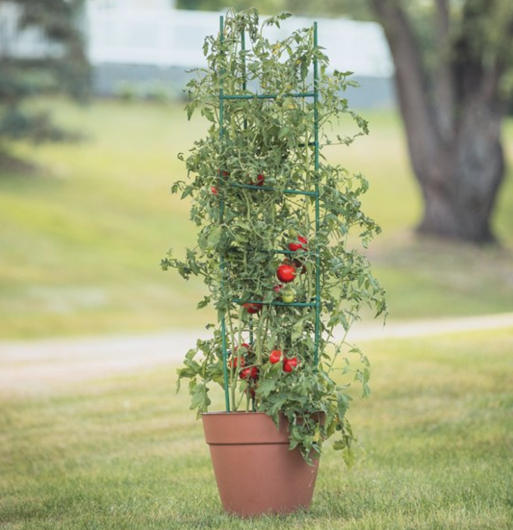 14" Tomato Planter w/Cage