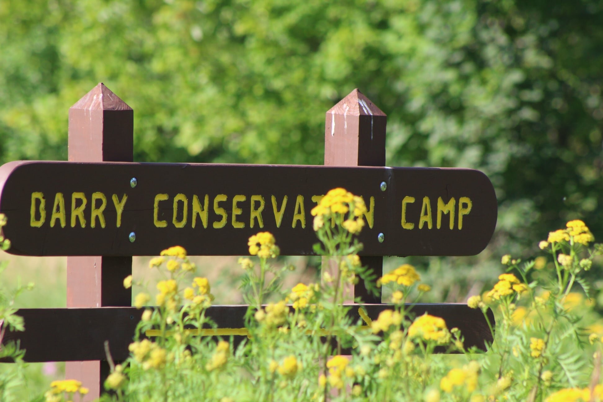 Barry Camp Conservation - Berlin, NH