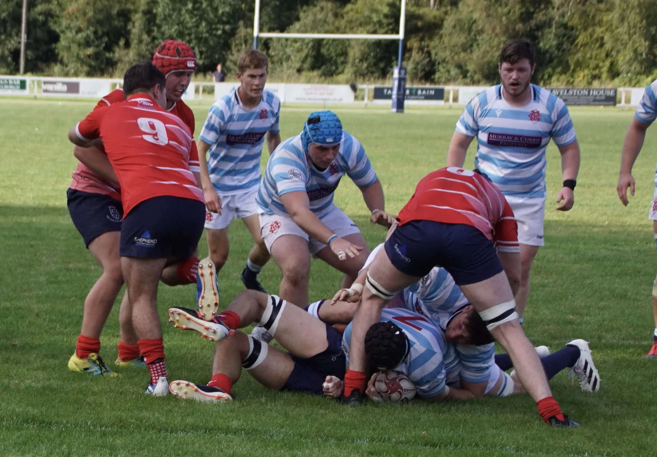 DSC05784.jpg