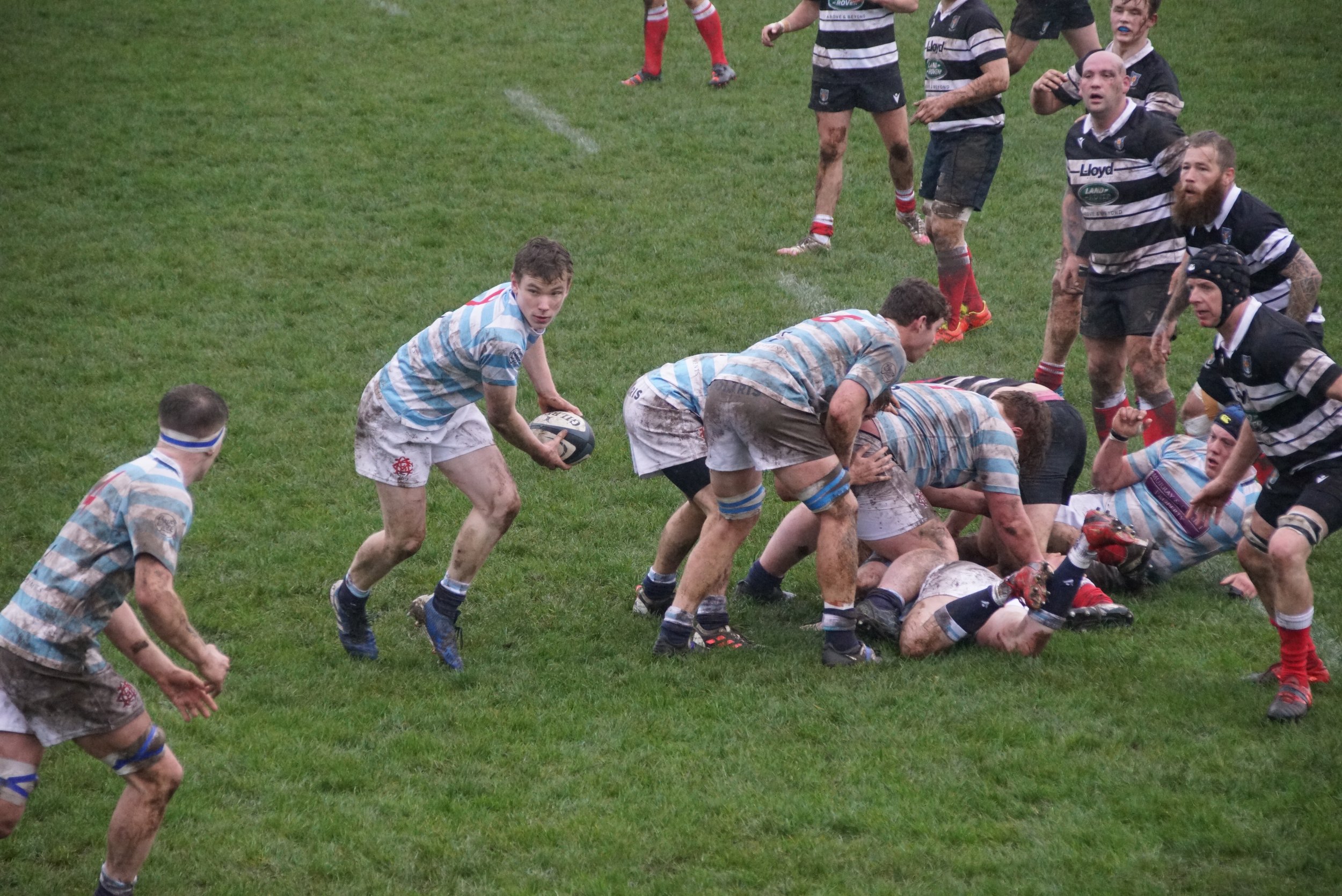 DSC03484.jpg