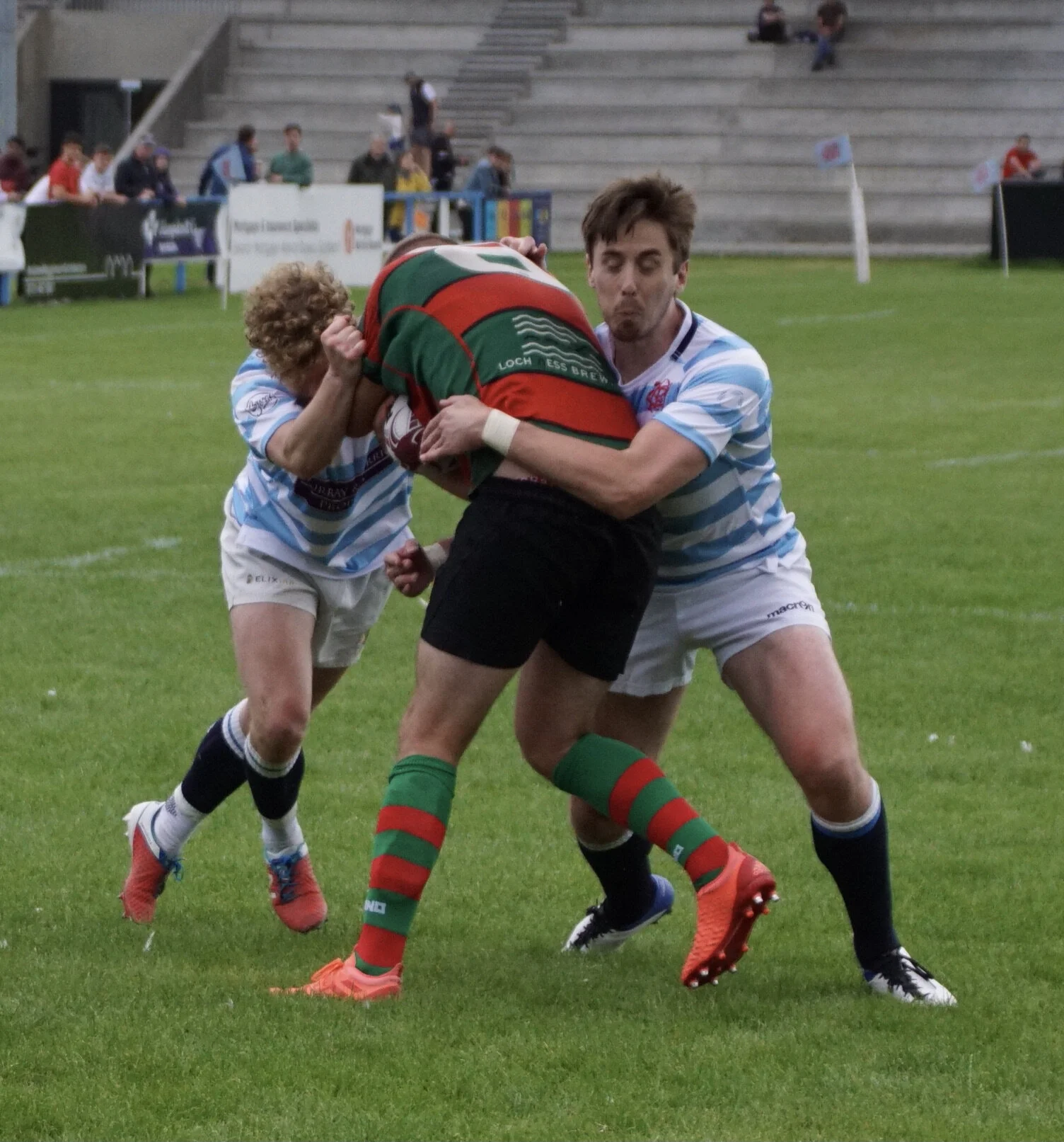 DSC04565.jpg