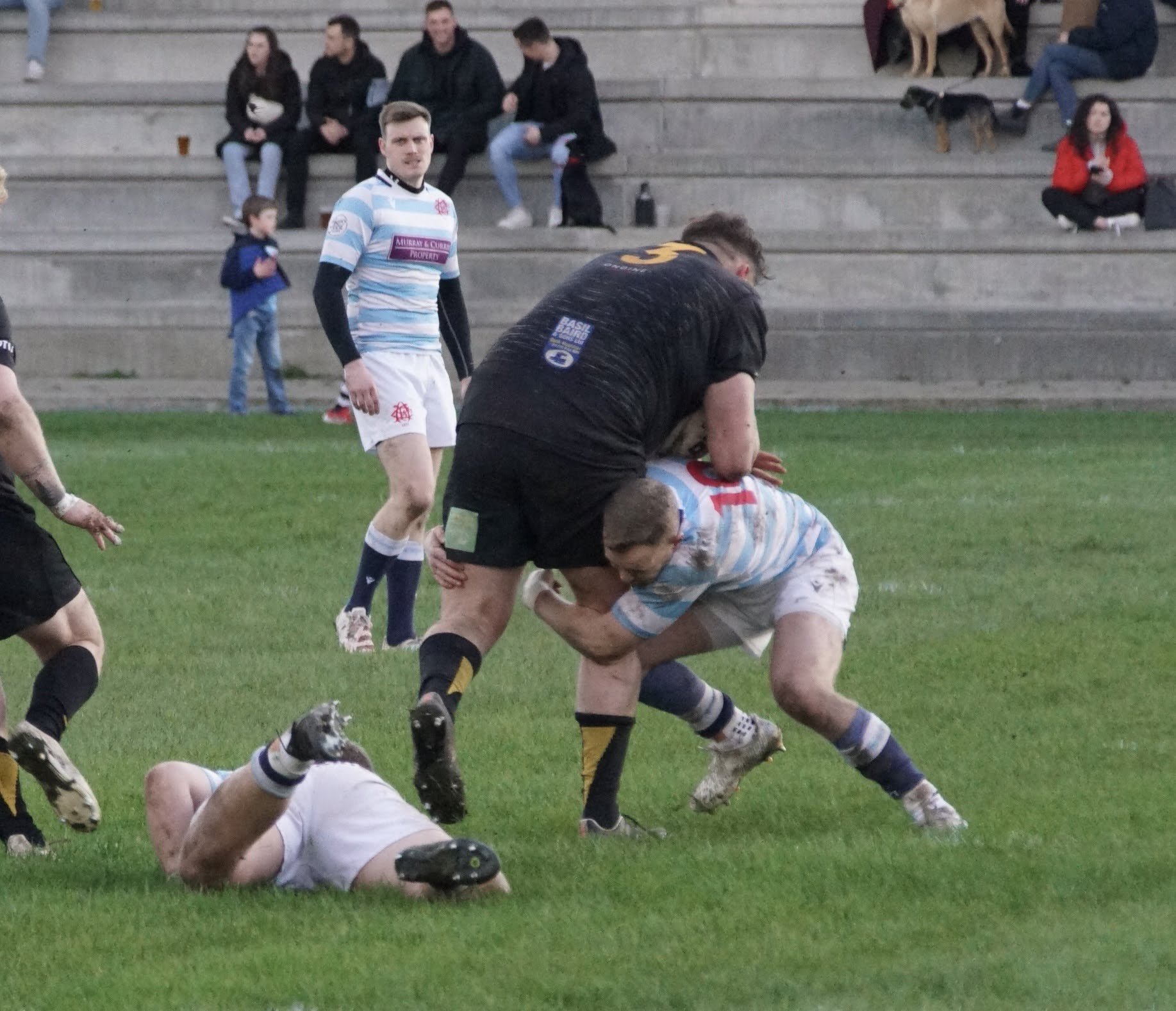 DSC04066.jpg
