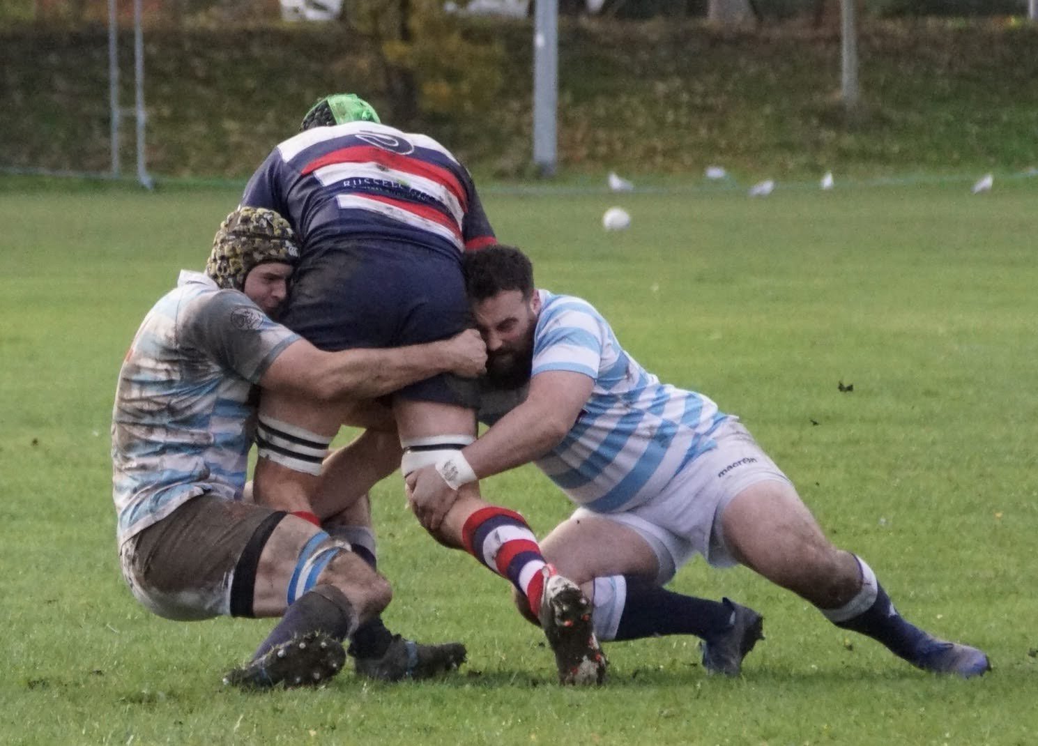DSC07895.jpg