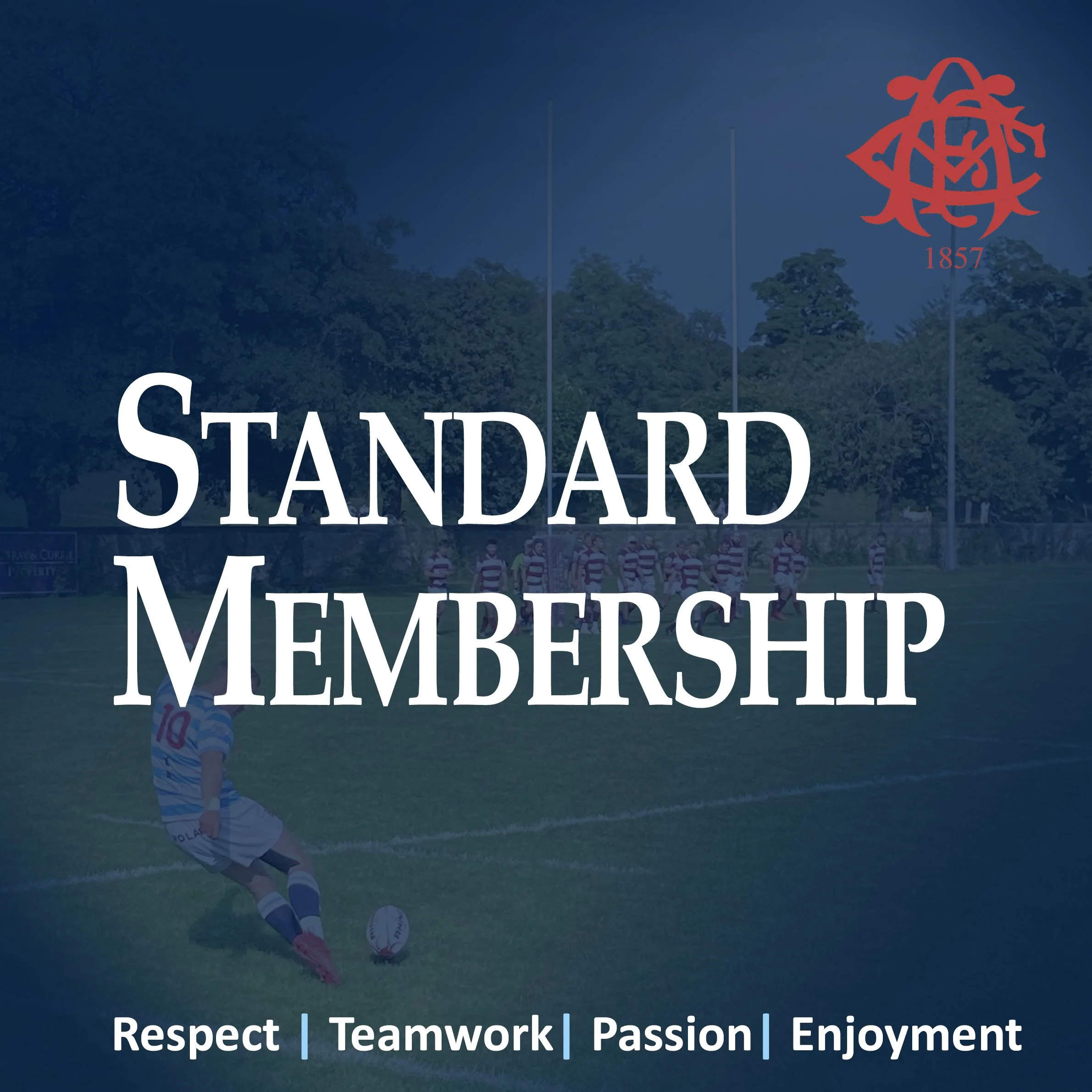 Standard Member