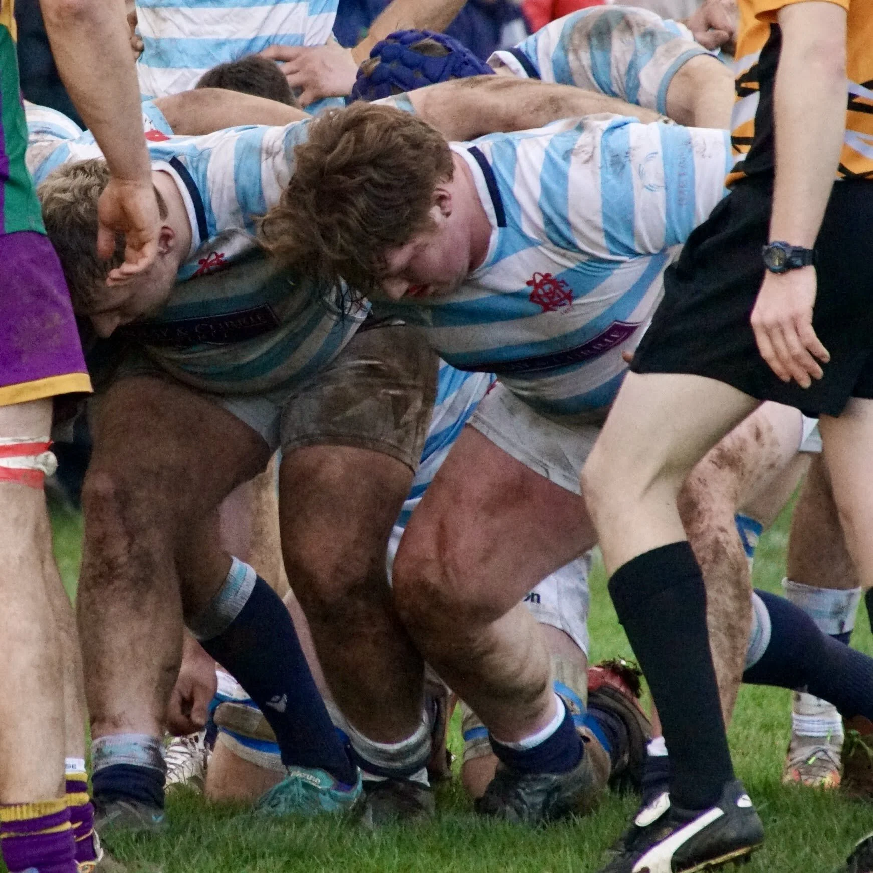 DSC03685.jpg
