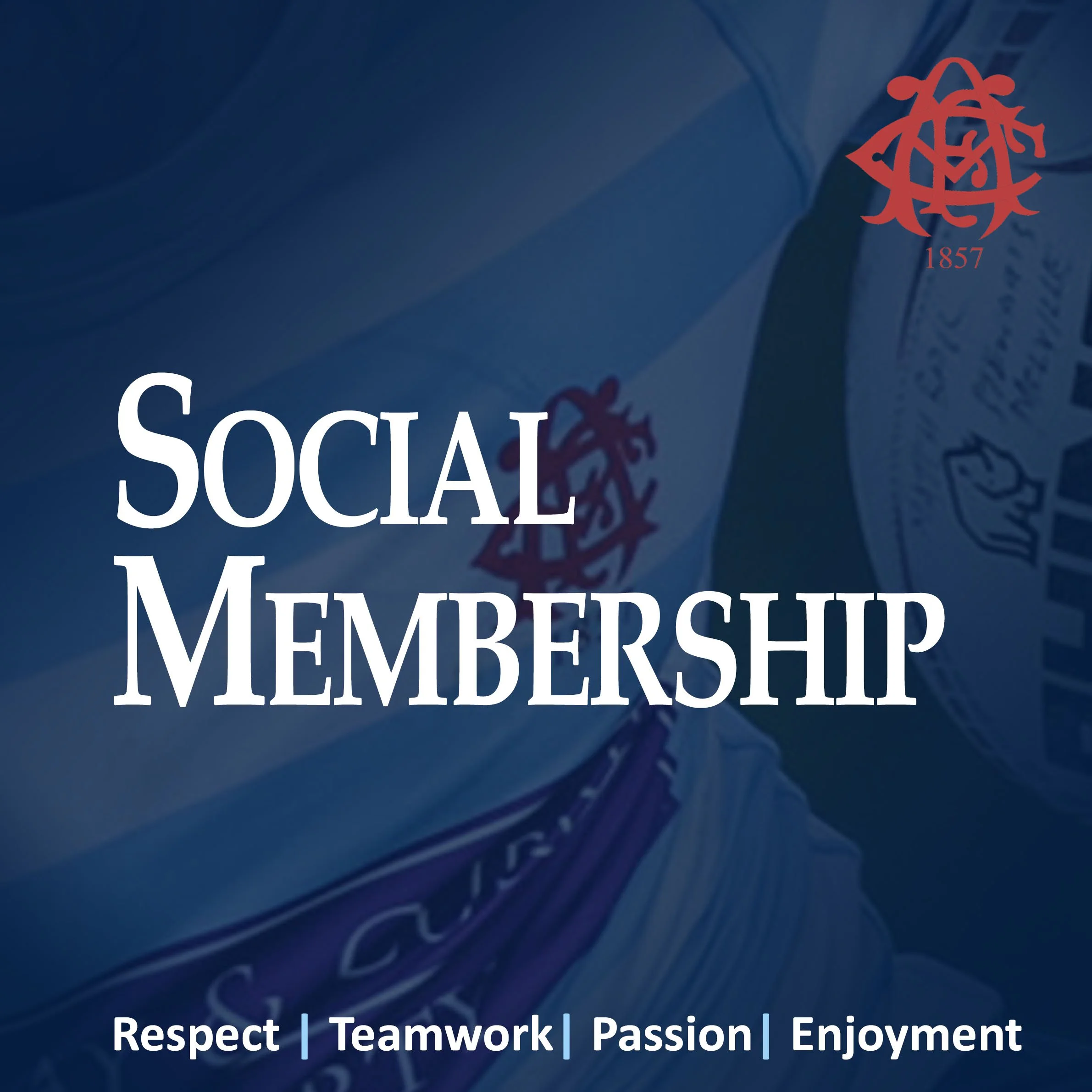 Social Member