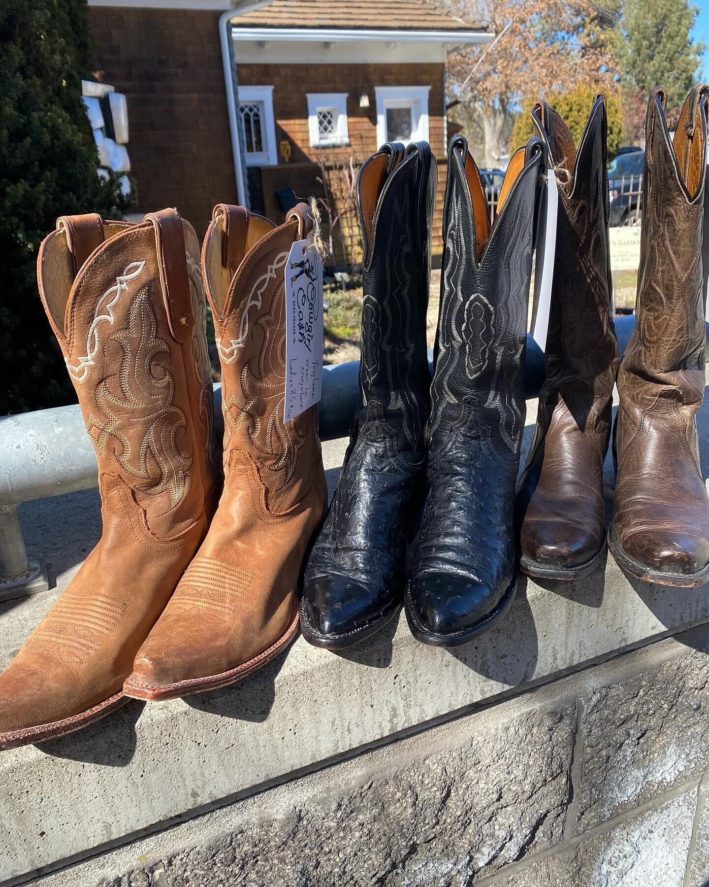 Sunbathing&hellip; #perfectboots #bootseason #westernvintage #tonylama #lucchese