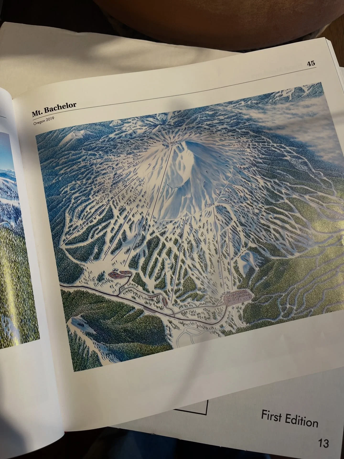 You at least could plan your next runs... The Man Behind the Maps is fantastic coffee table book of ski maps by James Niehues.