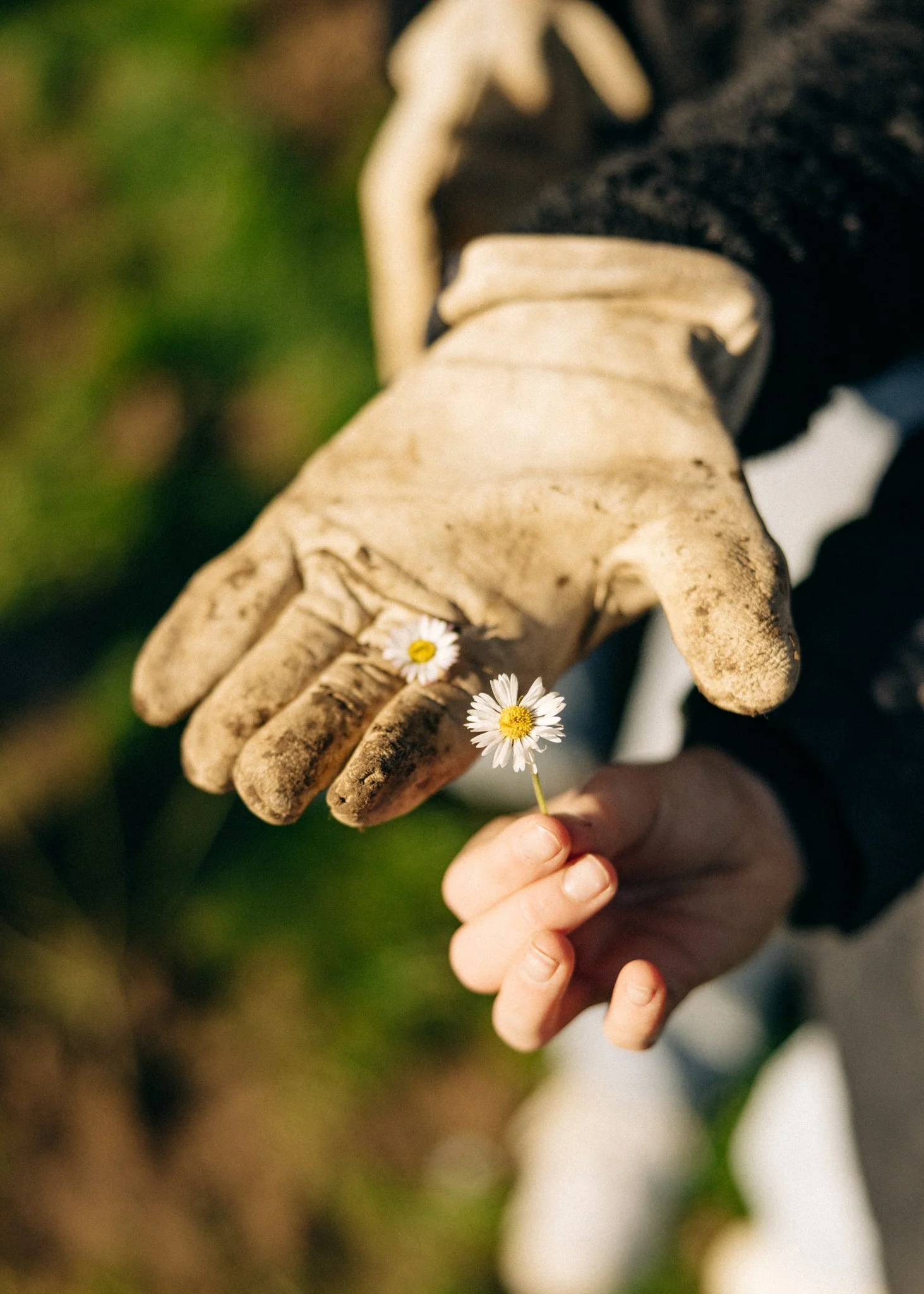 Buumplanters - 265.jpg