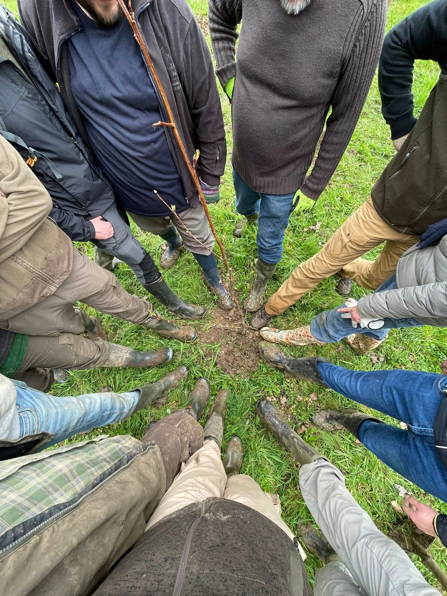 WhatsApp Image 2024-03-25 at 09.31.04.jpeg