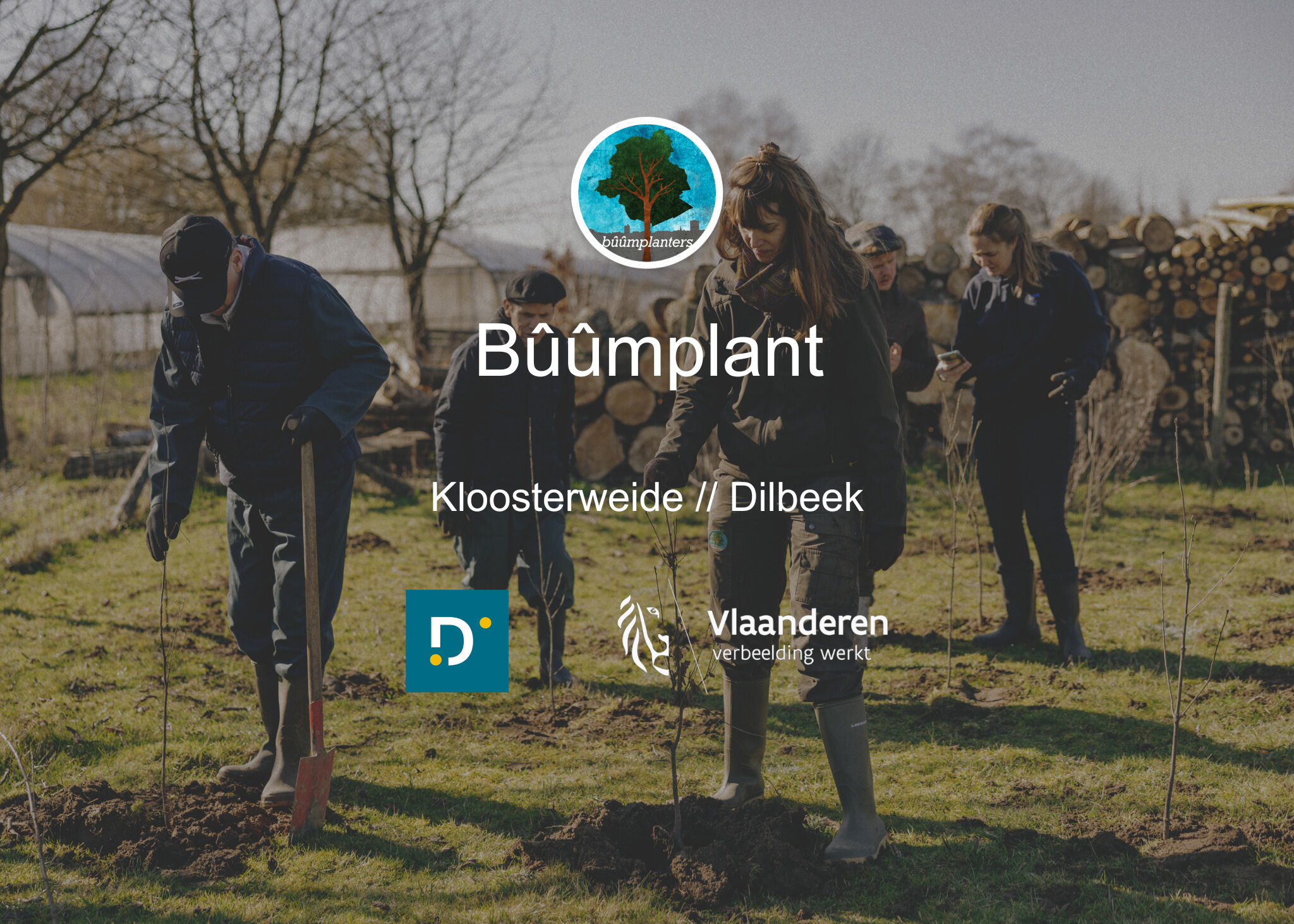 Bûûmplant // Kloosterweide - Dilbeek