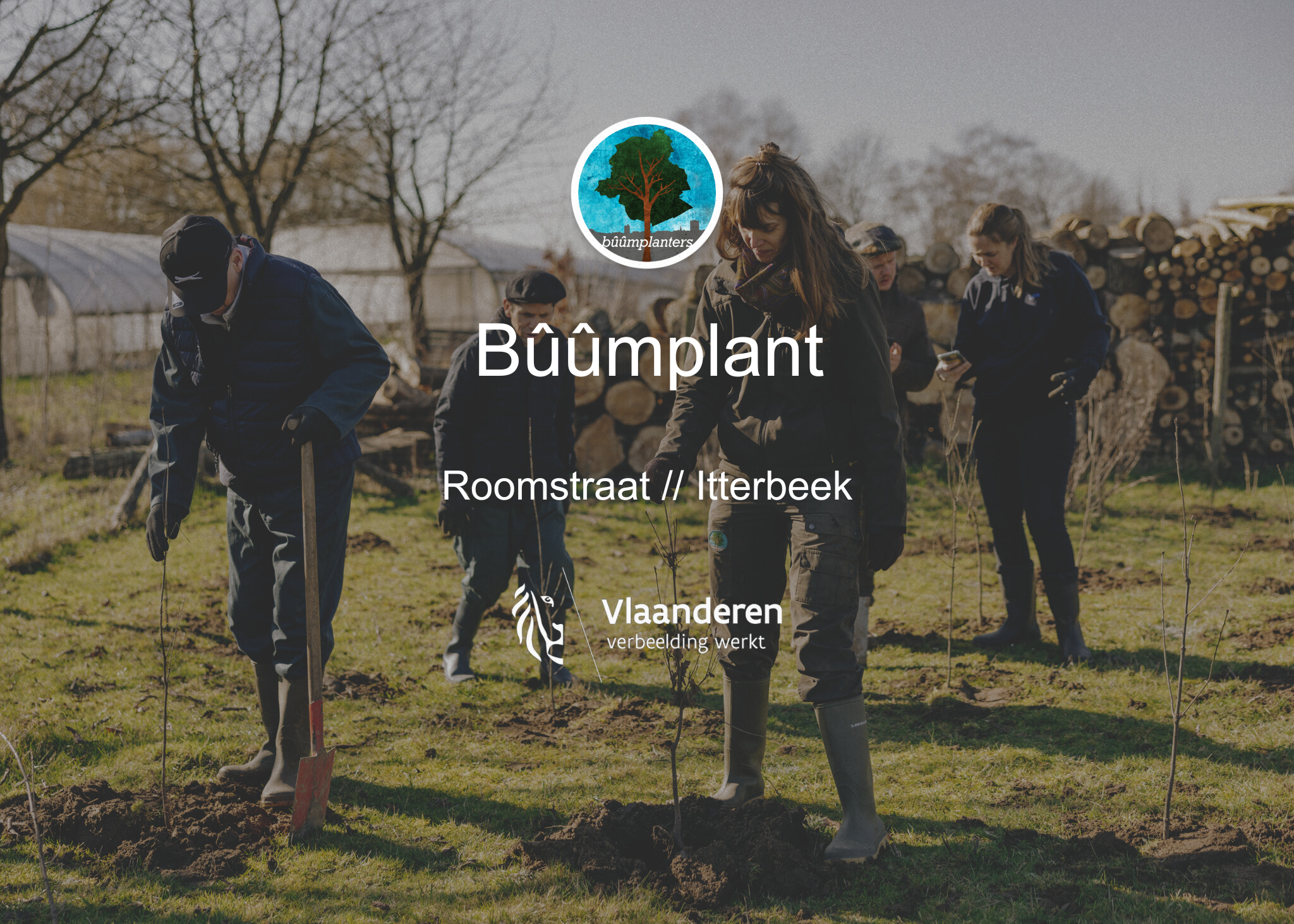 Bûûmplant // Roomstraat Itterbeek