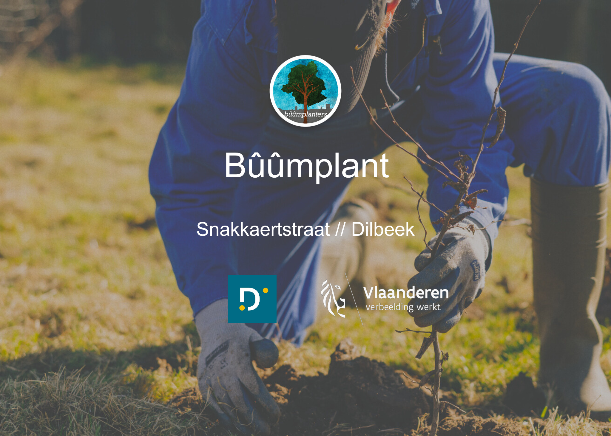Bûûmplant // Snakkaertstraat - Dilbeek