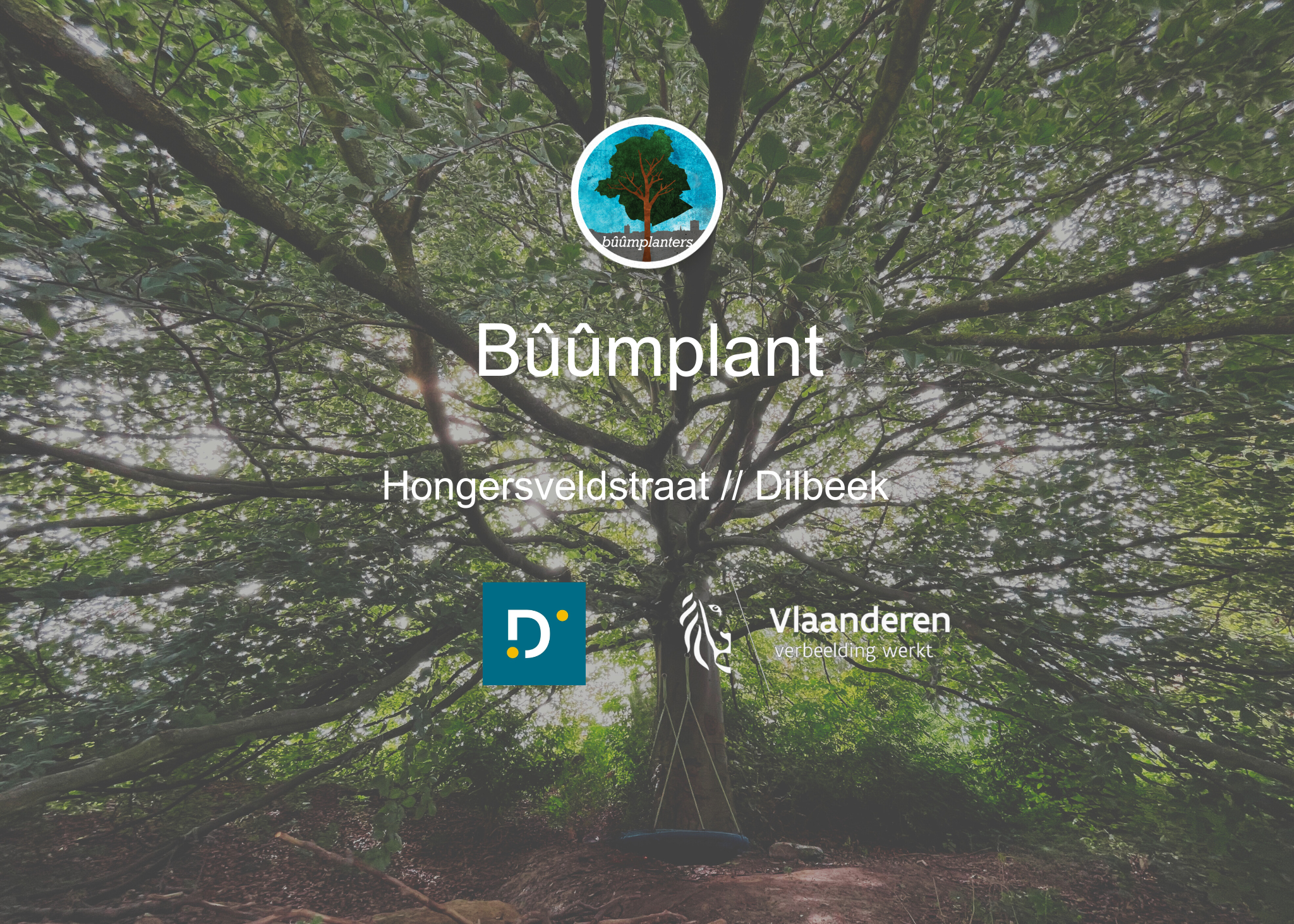 Bûûmplant // Hongersveldstraat - Dilbeek