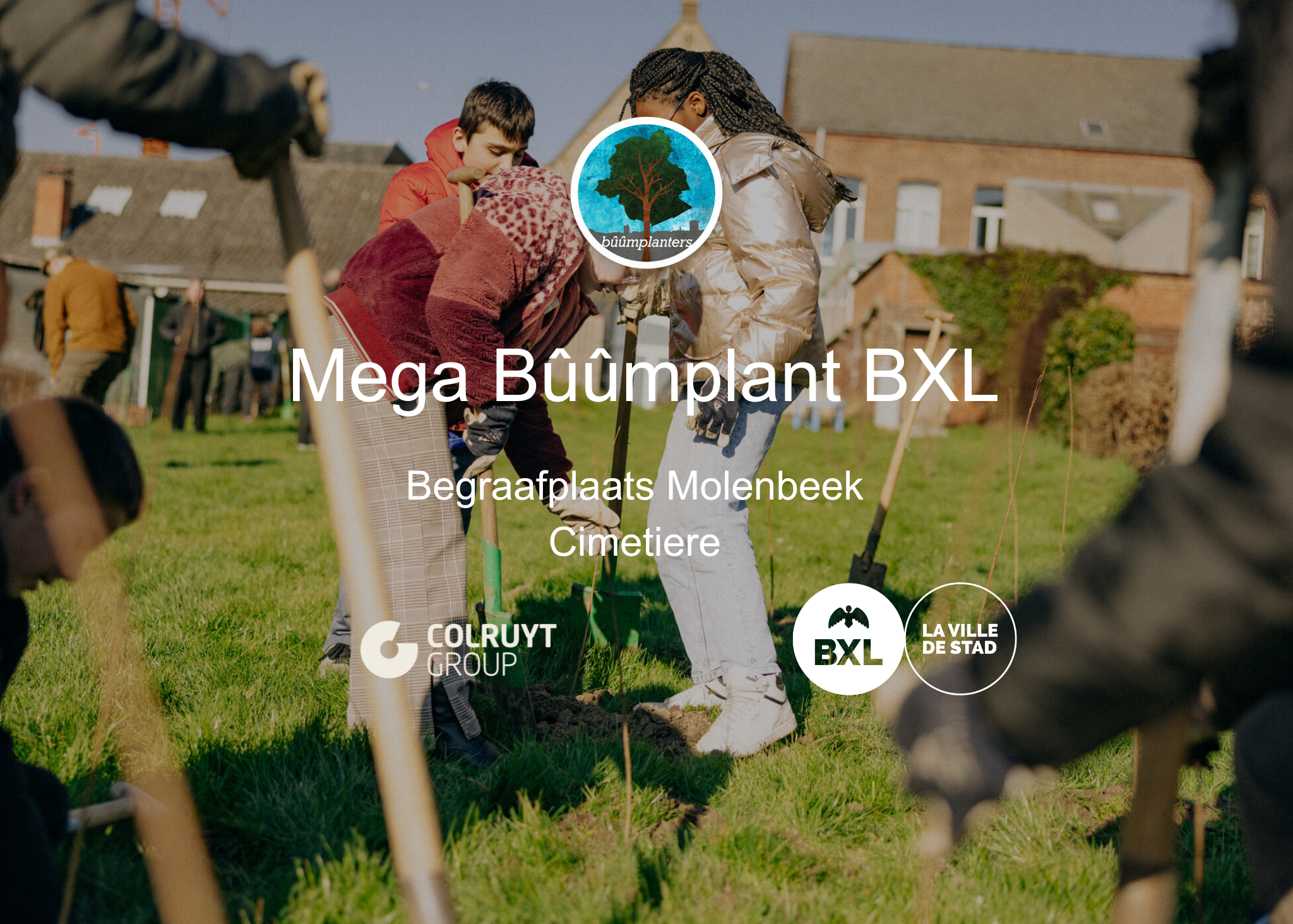 Bûûmplant BXL // Begraafplaats Molenbeek Cimetière