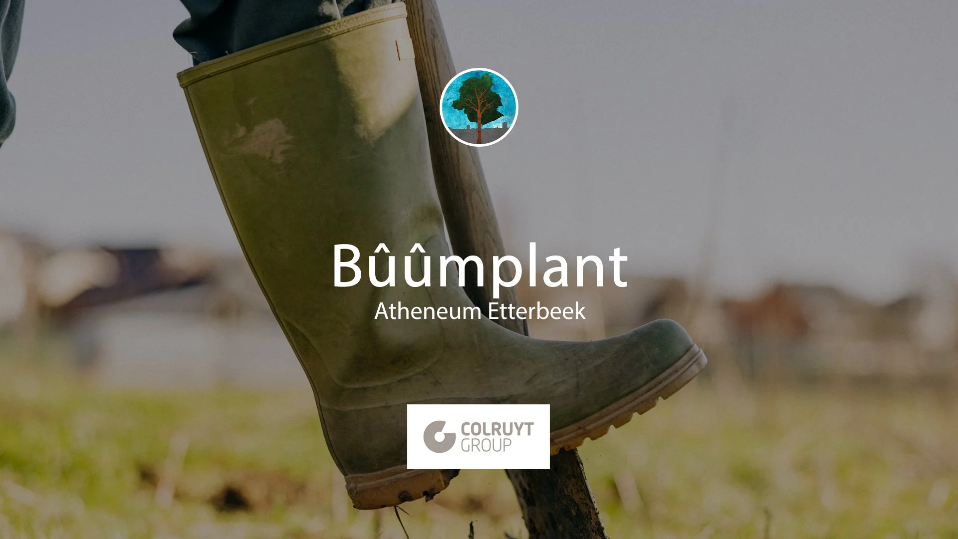 Bûûmplant BXL // Atheneum Etterbeek