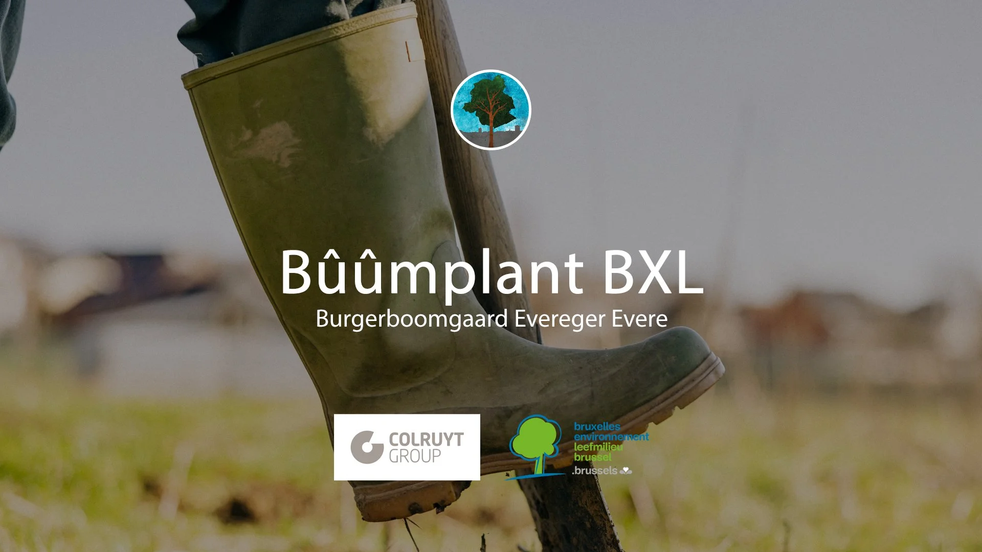 Bûûmplant BXL // Burgerboomgaard Evereger