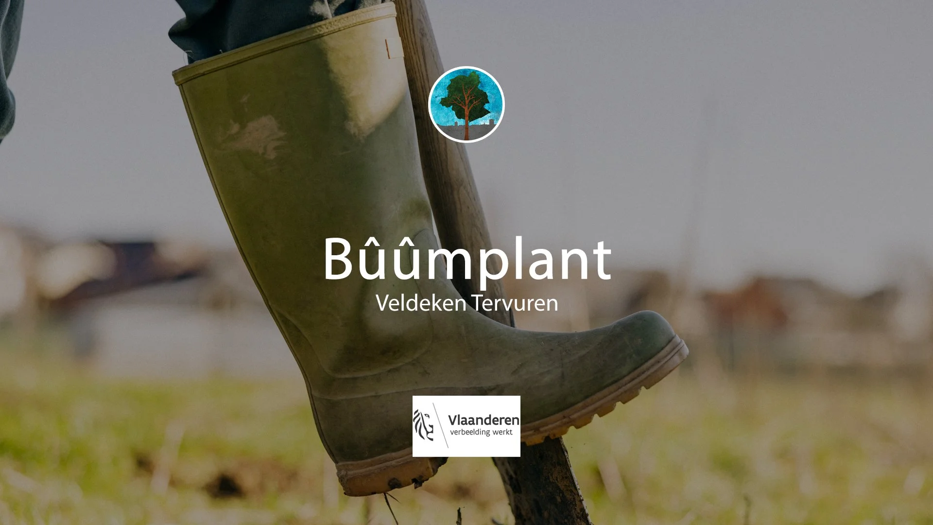 Bûûmplant // Tervuren