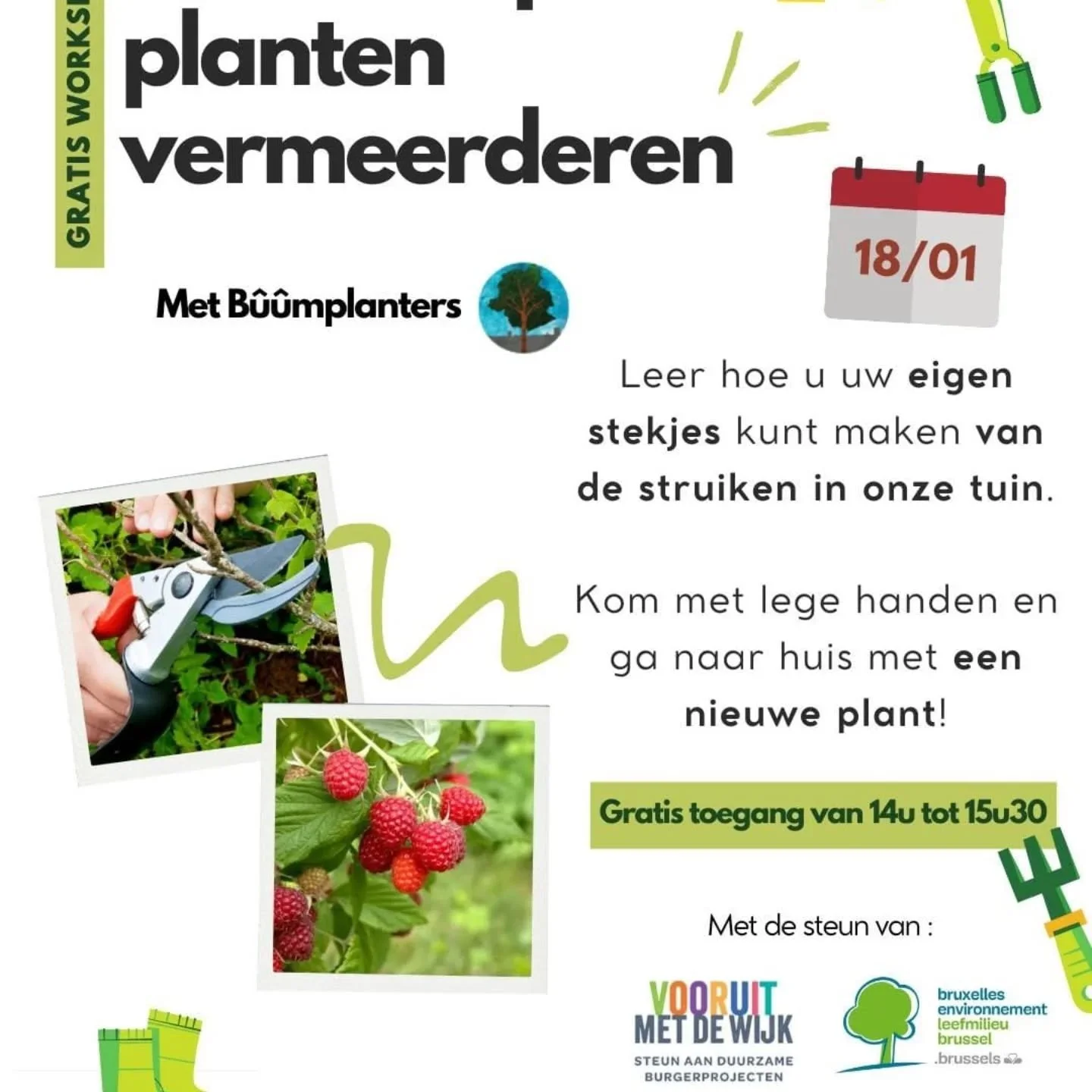 NL (FR ci-dessous) 
Deze zondag organiseren een Atelier vermeerderen van plantgoed door stekken bij @cohousingtivoli ! Het is het moment in het seizoen voor verschillende soorten. Doe mee aan het atelier of gewoon thuis! Met de steun van @environment