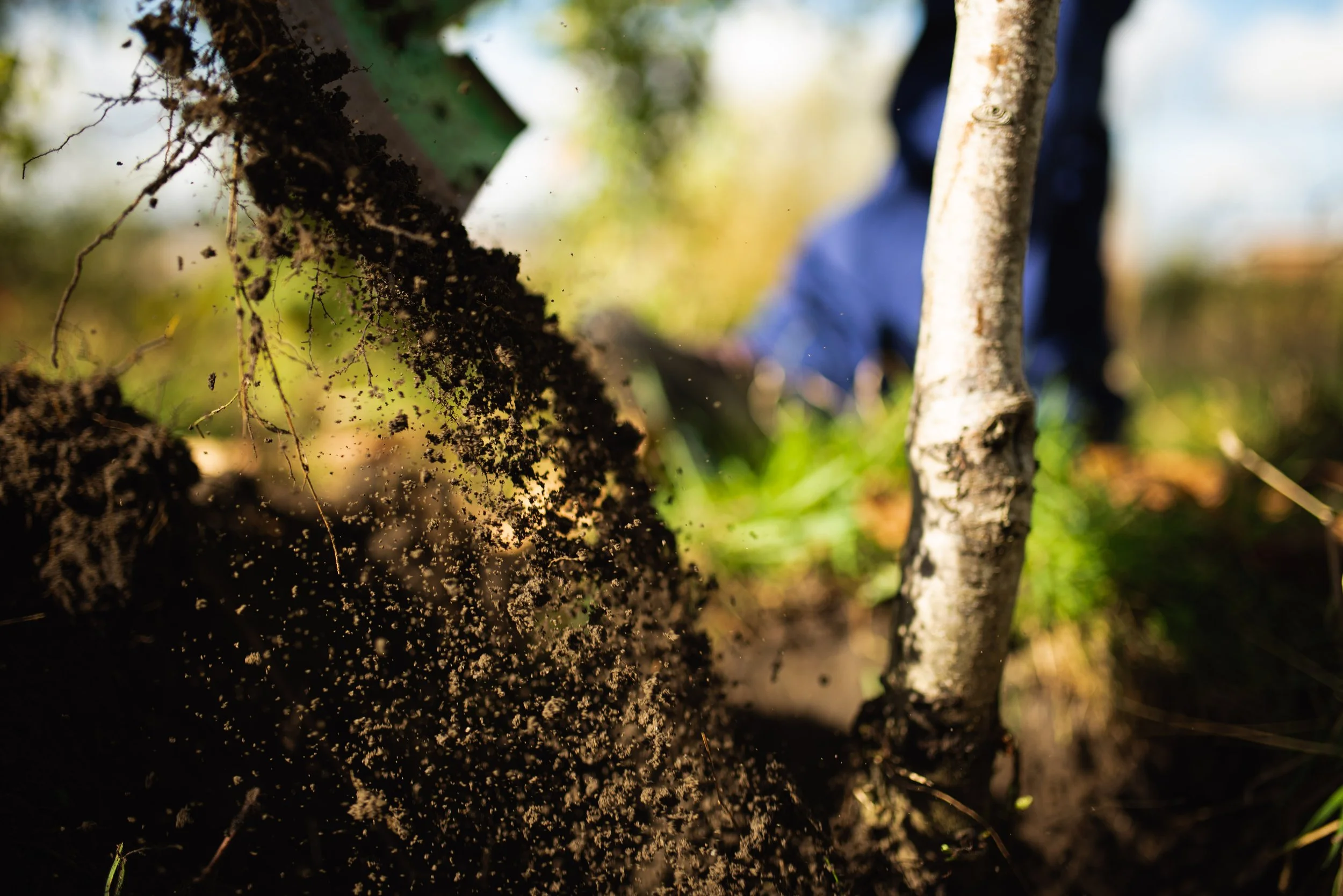 Bûûmplant Ecole Merlo Ukkel