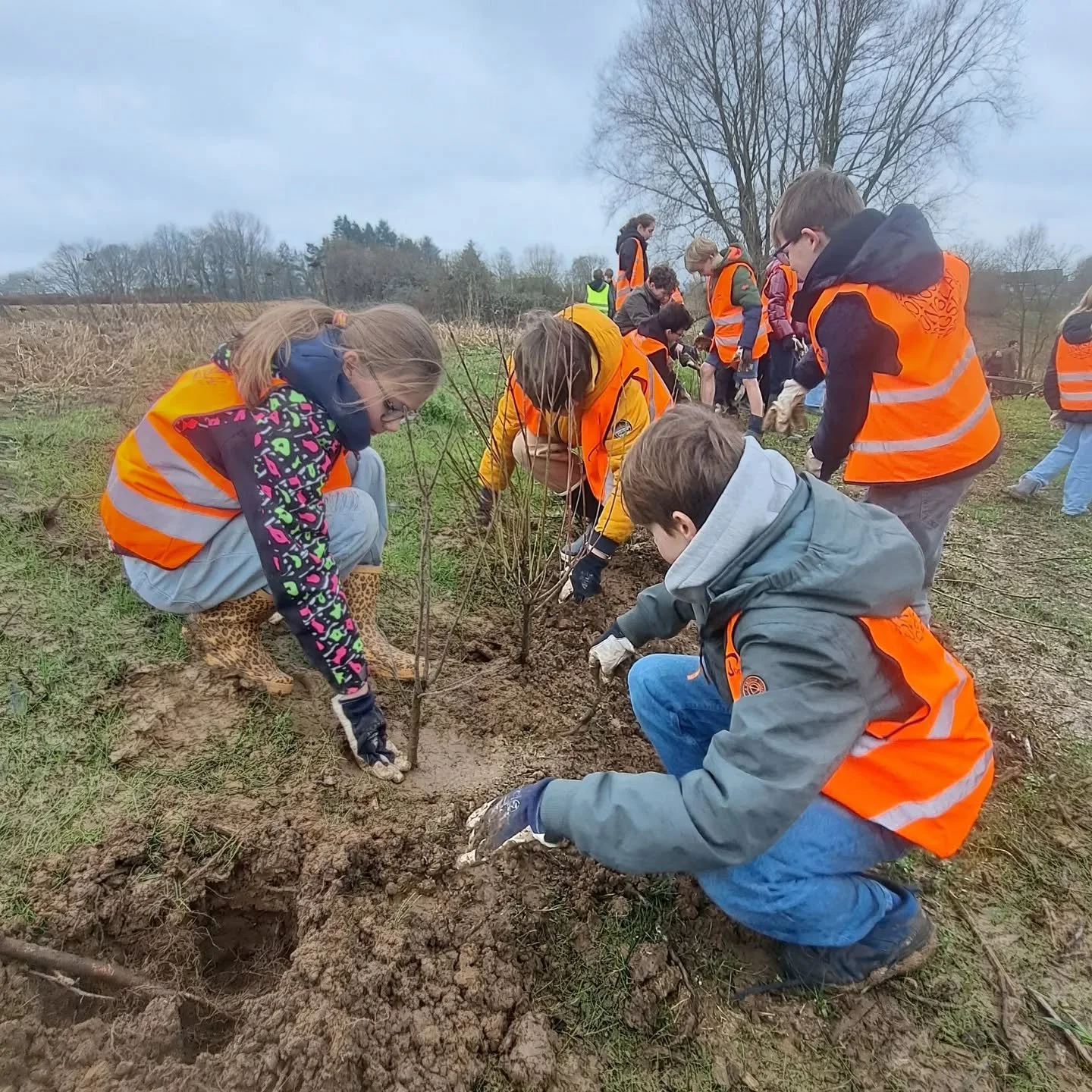 Weer een goed gevulde b&ucirc;&ucirc;mplantweek achter de rug. We hebben in Sint Genesius Rode, Lessines, @gemeenteroosdaal en @gemeenteoverijse honderden meters gemengde hagen, heggen en houtkanten aangeplant en daarbovenop natuurlijk ook nog wat bo