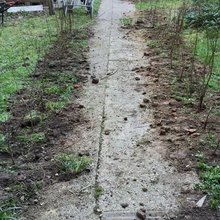 We sluiten dezer dagen een zot plantseizoen af met heel wat aanplantingen in Brussel. We kregen in Sint Gillis hulp van het fantastische team van @gc_pianofabriek waarvoor een dikke merci! De gemeente Sint Gillis die beroep deed op onze diensten was 