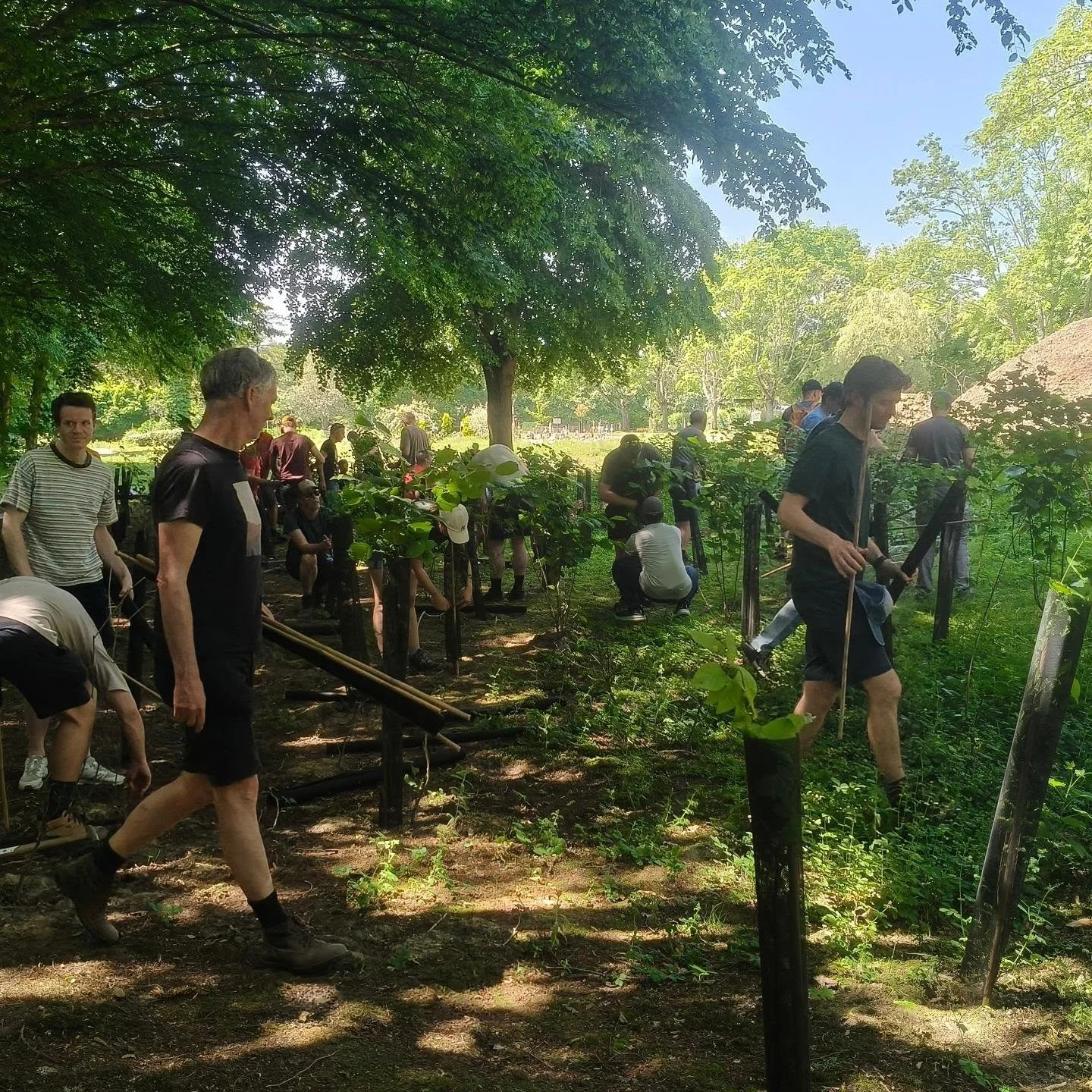 Vorige vrijdag waren we aan de slag op de begraafplaats van Ganshoren. Twee jaar lang plantten we daar bomen en struiken aan. Gezien deze begraafplaats temidden een waardevolle natuurzone gelegen is (moeras van Ganshoren) worden de jonge planten gere