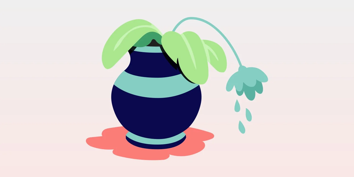 The Importance of Our Biology in Somatic Therapy