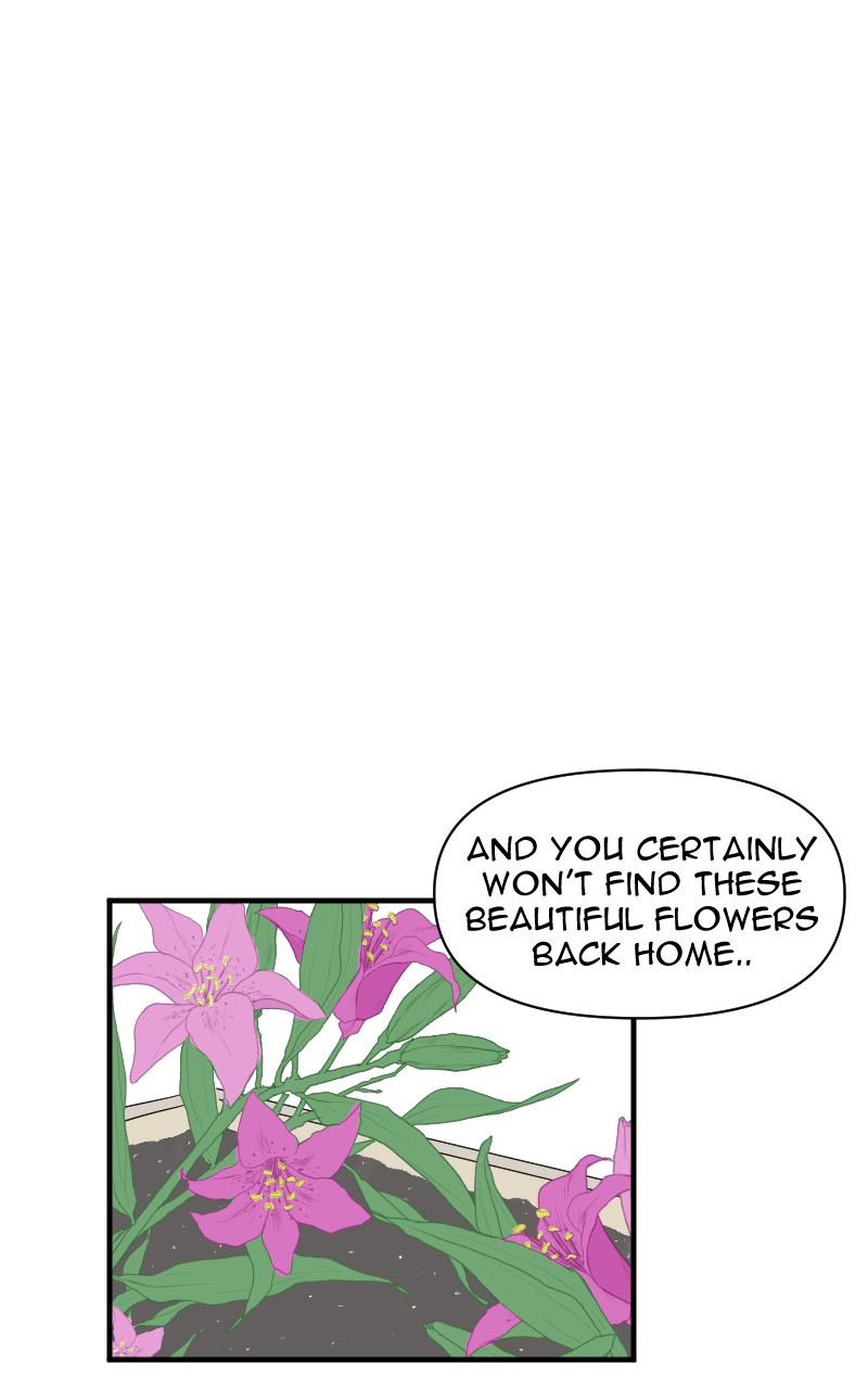 05_05_001.png