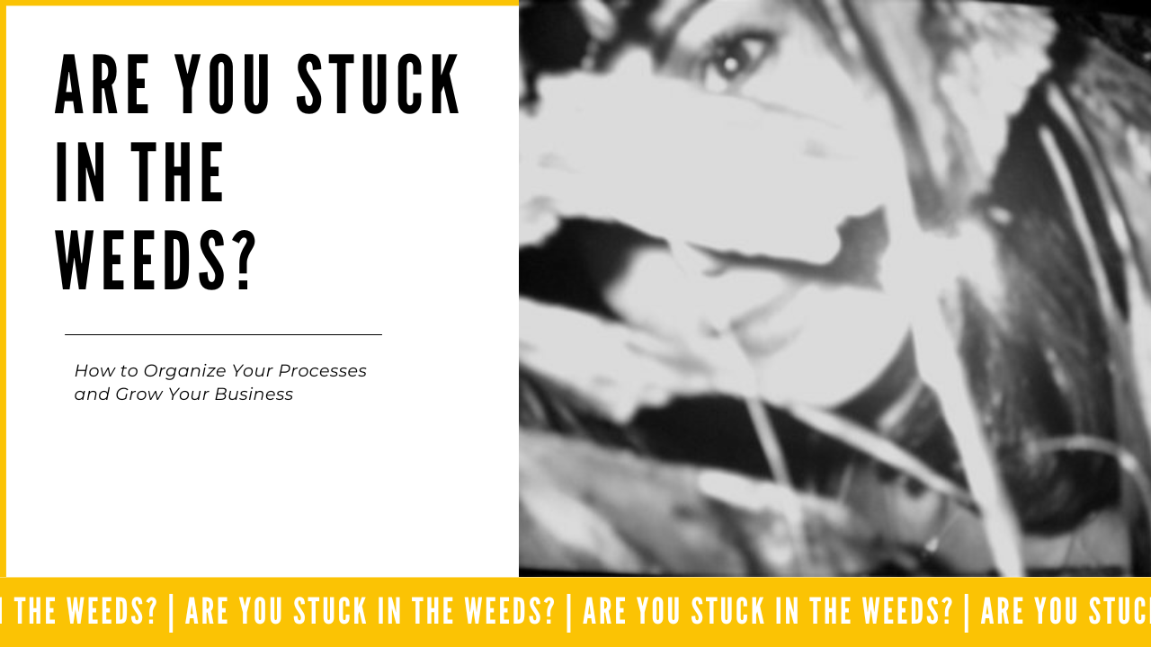Getting out of the Weeds: Are You Getting High or Getting Your Processes Organized?