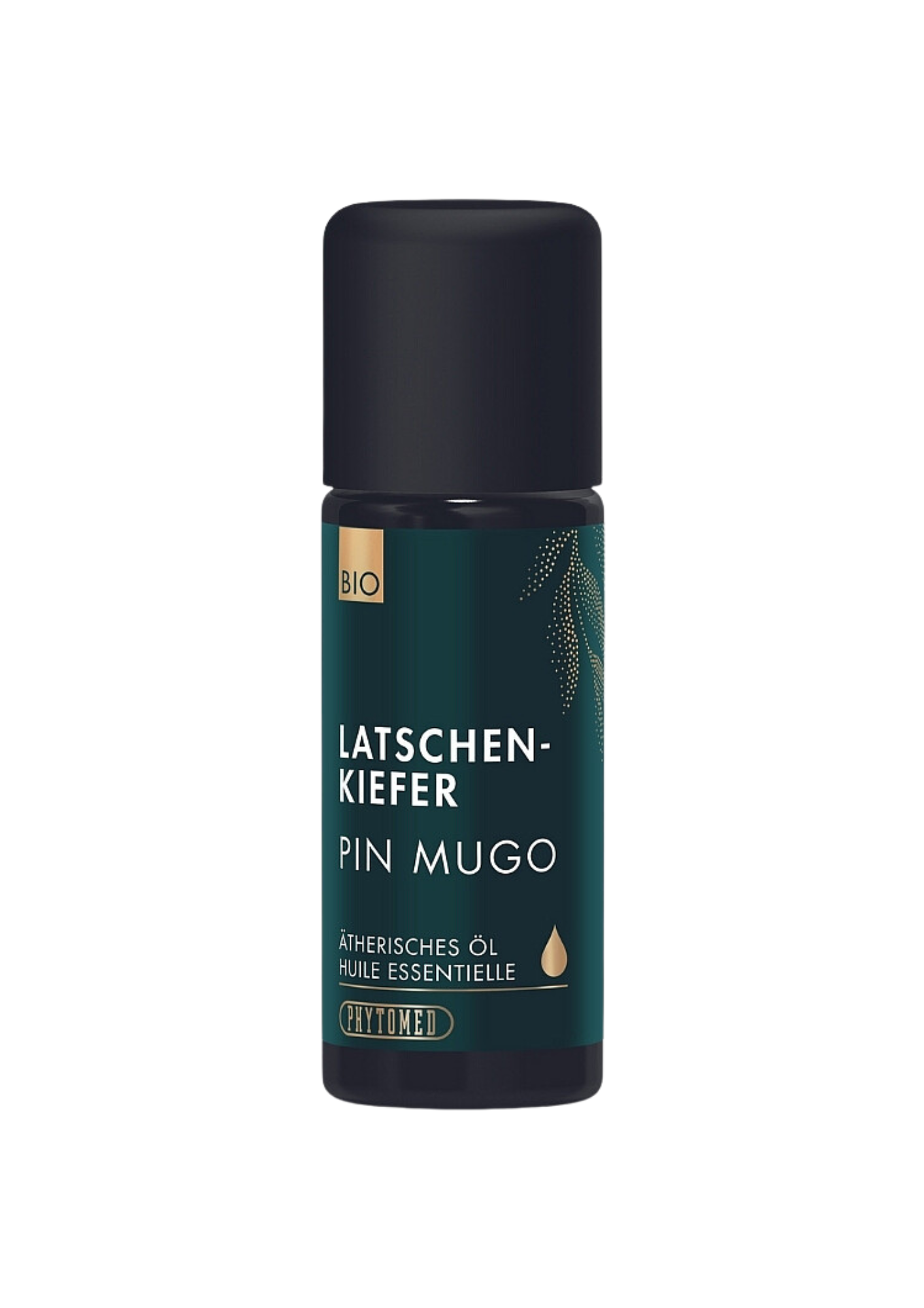 Latschenkiefer Bio