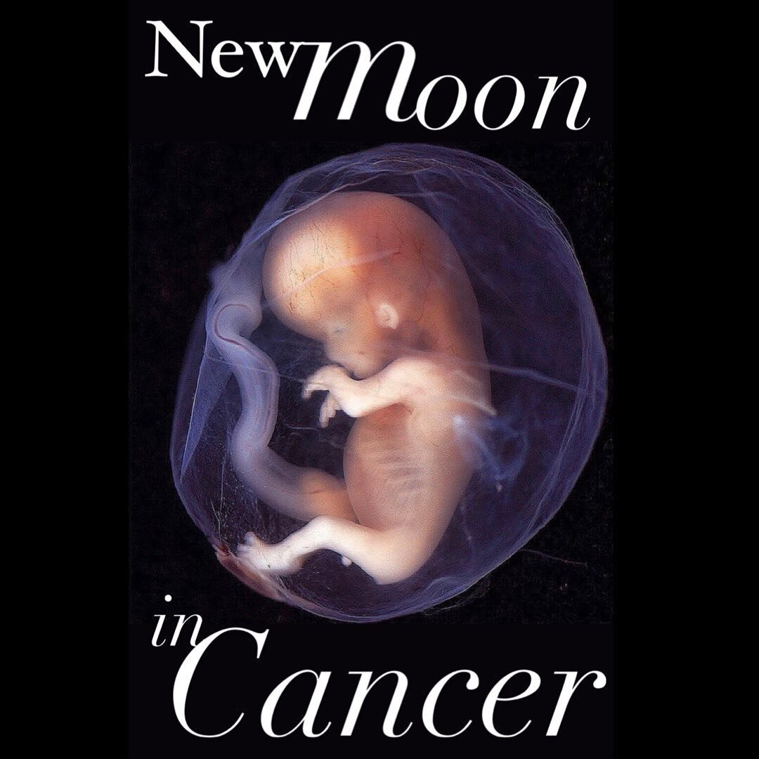 The day that the Moon moved into Cancer I went to have dinner at my brother and sister-in-law&rsquo;s. We spent the night talking about my favorite topics; Why are we here? Does God exist and what is it? Did God create us in his image or did We creat