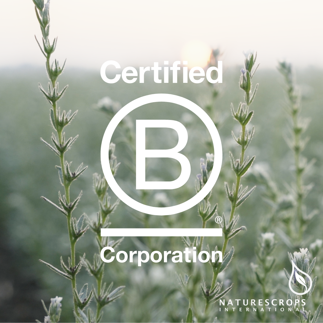 We’re B Corp Certified!