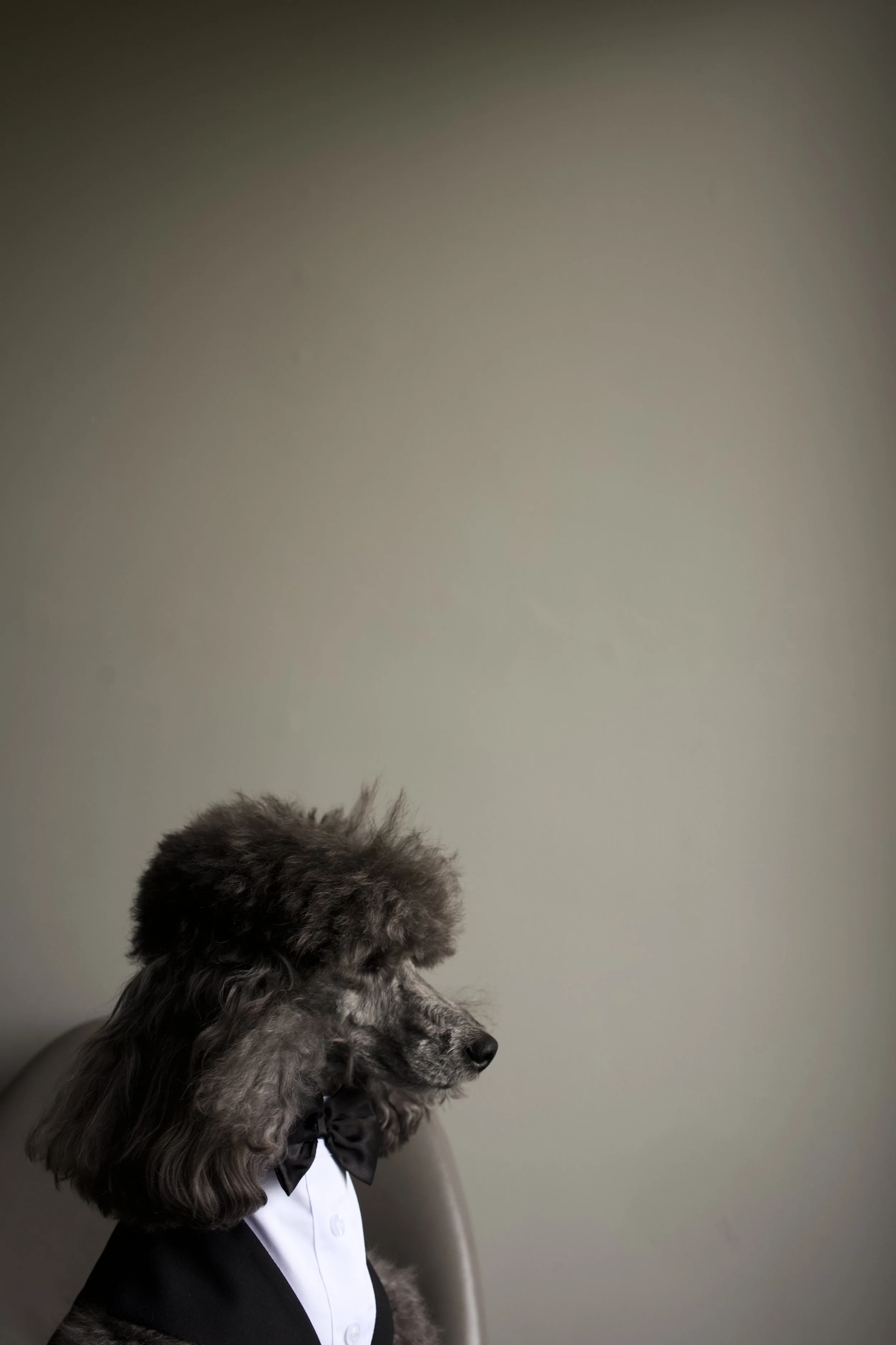 DSC00671.jpg