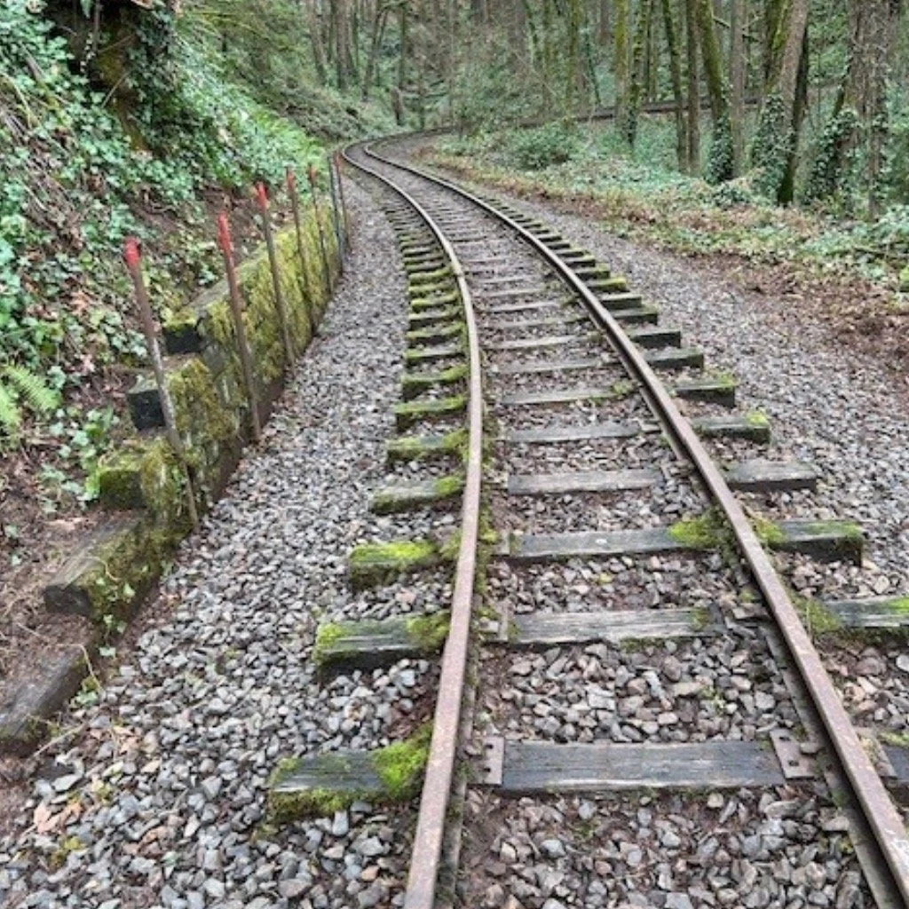 🌿 Blackberries vs 🚂
Score update: It&rsquo;s getting closer&hellip;
We&rsquo;re back for more Zoo Train track cleanups!
📍 Big Meadow (SW Kingston Dr)
Between the Zoo &amp; Washington Park
🗓 Tues &amp; Fri &mdash; 1:30 PM
🗓 Sat &amp; Sun &mdash; 