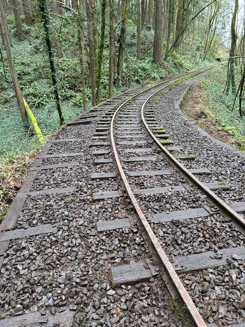 Cleared Zoo Train Tracks
