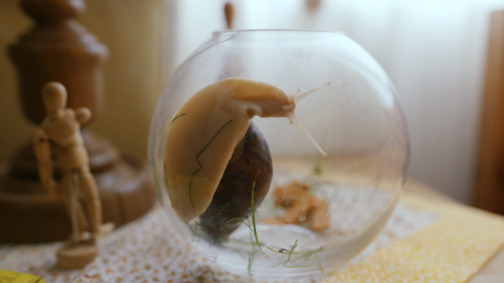 Still 2026-01-17 112903_1.30.1.png