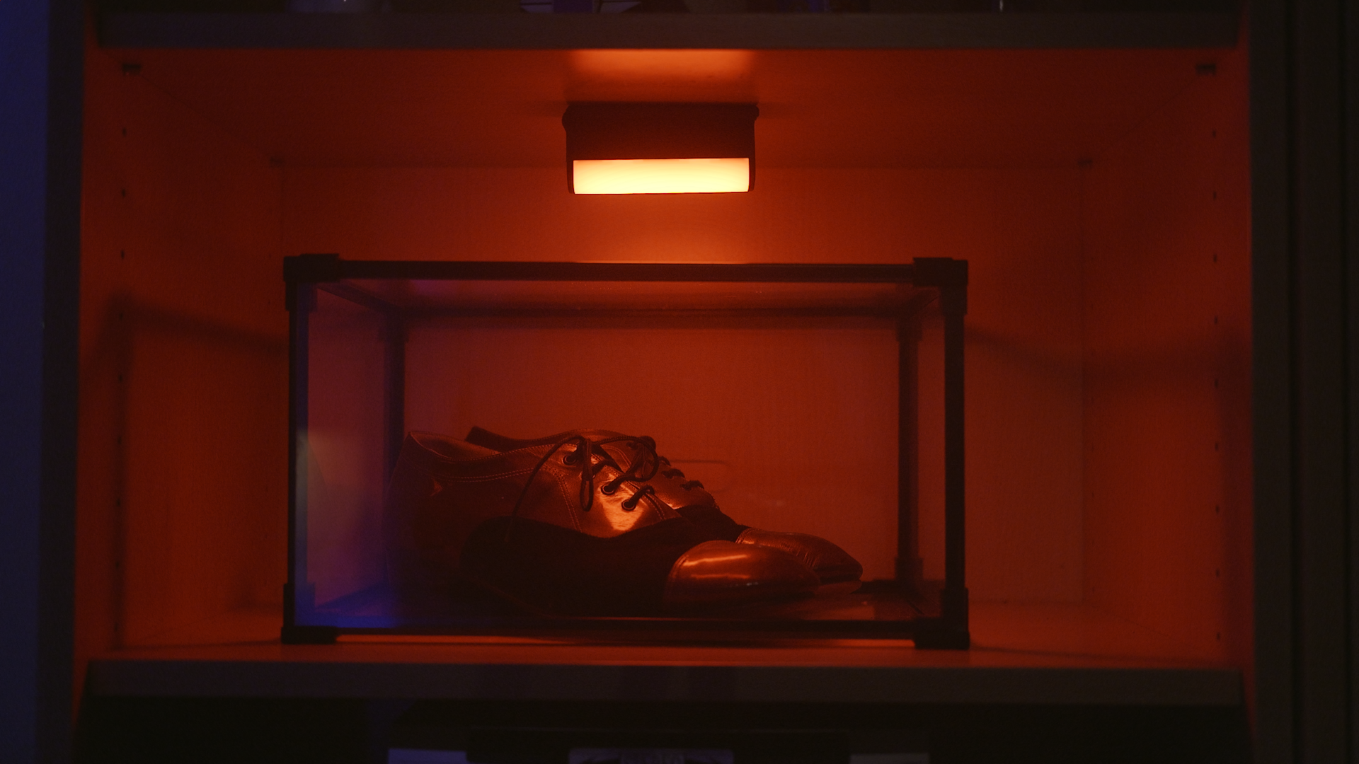 Still 2026-01-17 105631_1.23.1.png